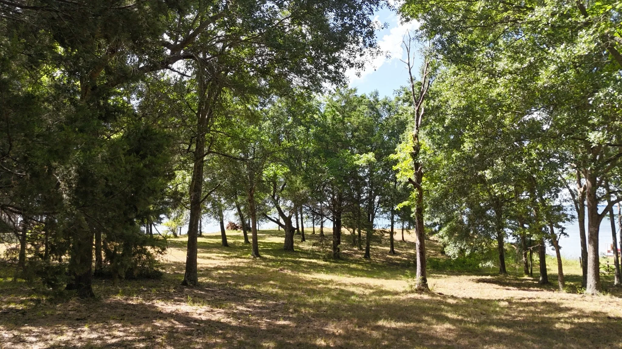 Unimproved Land For Sale in Freestone County , Lot 81 Appomattox, Streetman, Texas 75859, 0, 0, Garage spaces, 0 Sqft, built in 0, Price $495,000, mls#21307541, Real Estate Agent in Streetman, Homes For Sale in Freestone county, Homes For Sale in Streetman, Realtor in Streetman Texas, Real Estate Brokerage Independent Realty Texas, Luminita Cordes Realtor