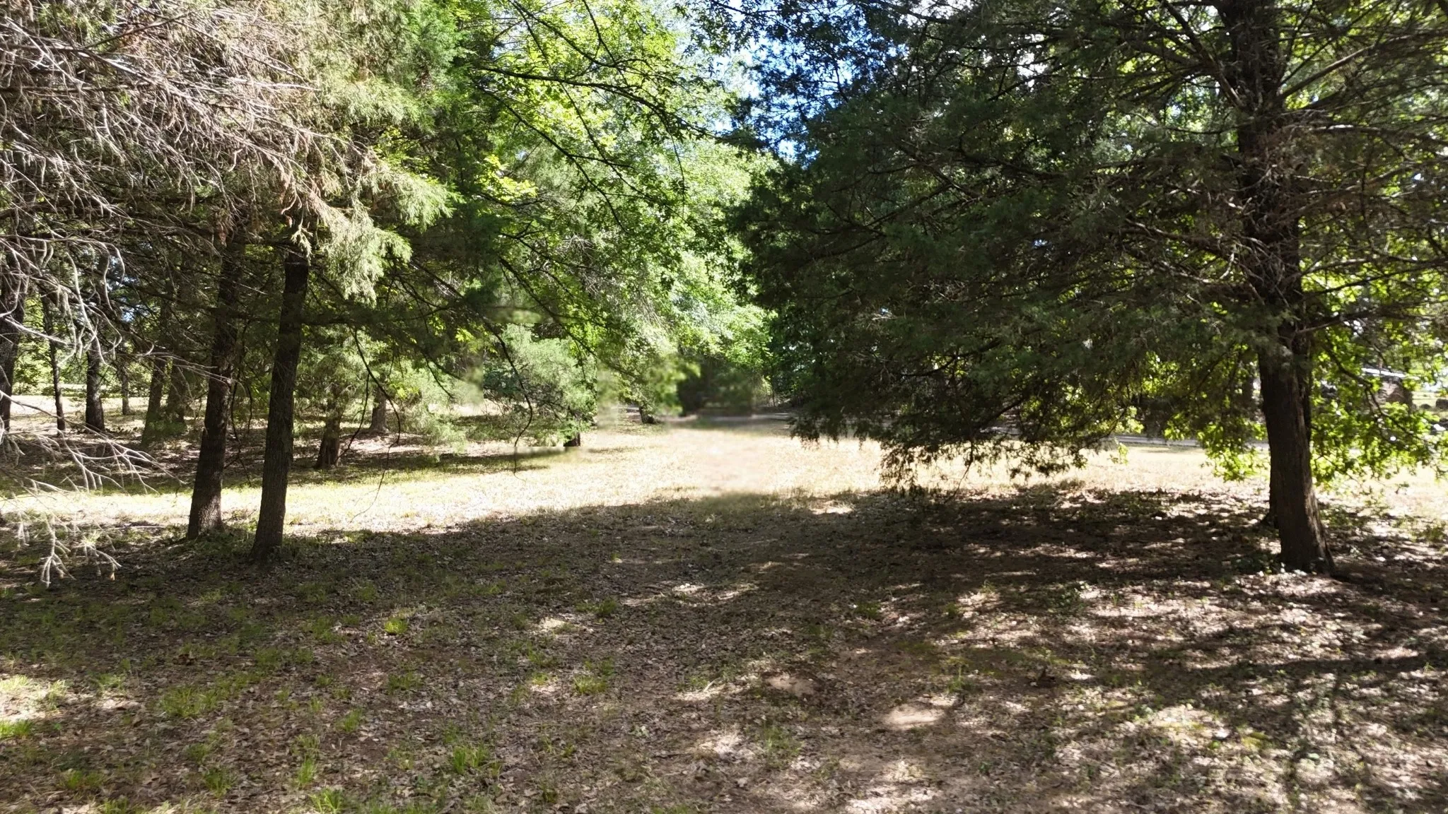 Unimproved Land For Sale in Freestone County , Lot 81 Appomattox, Streetman, Texas 75859, 0, 0, Garage spaces, 0 Sqft, built in 0, Price $495,000, mls#21307541, Real Estate Agent in Streetman, Homes For Sale in Freestone county, Homes For Sale in Streetman, Realtor in Streetman Texas, Real Estate Brokerage Independent Realty Texas, Luminita Cordes Realtor