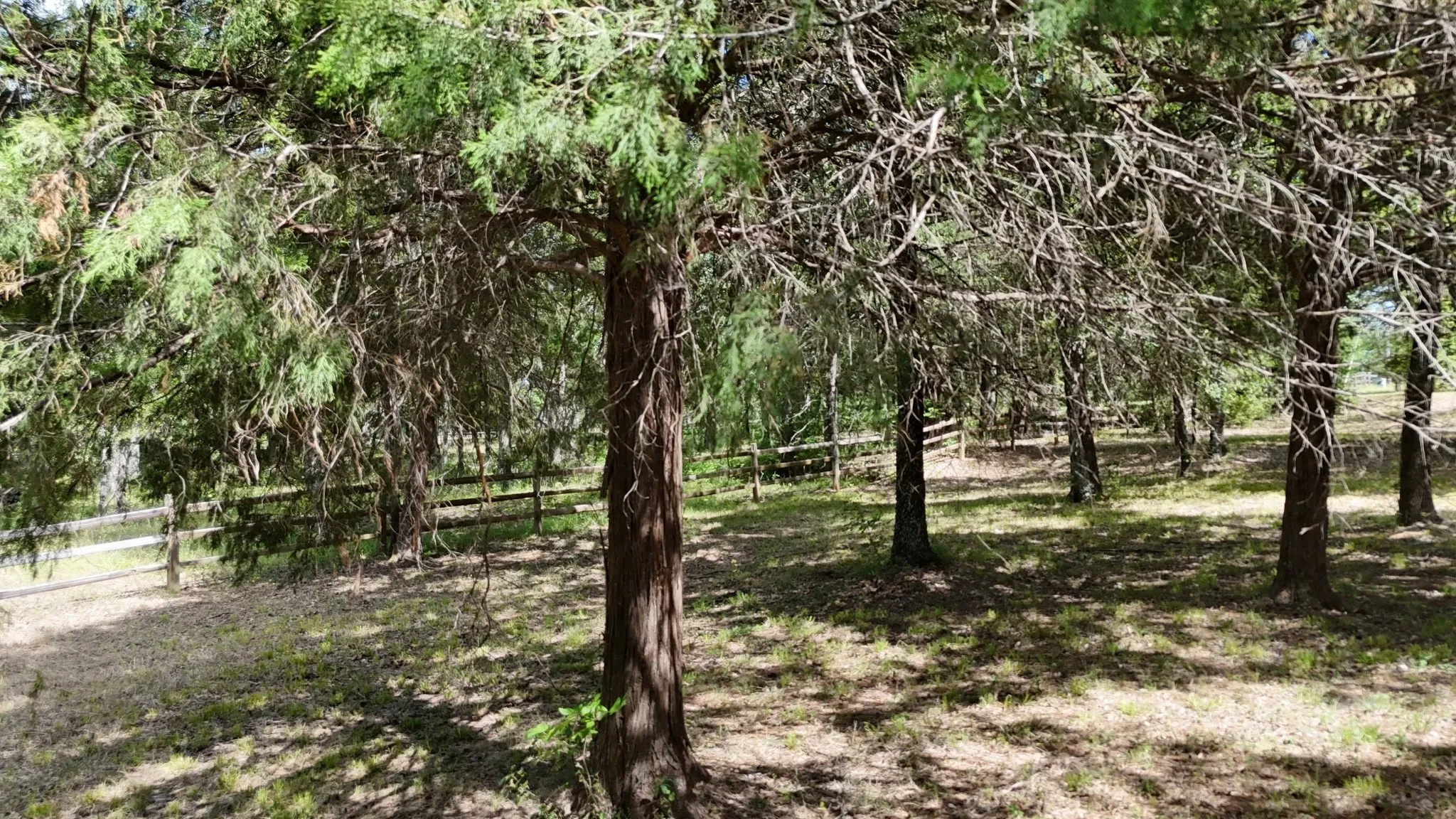 Unimproved Land For Sale in Freestone County , Lot 81 Appomattox, Streetman, Texas 75859, 0, 0, Garage spaces, 0 Sqft, built in 0, Price $495,000, mls#21307541, Real Estate Agent in Streetman, Homes For Sale in Freestone county, Homes For Sale in Streetman, Realtor in Streetman Texas, Real Estate Brokerage Independent Realty Texas, Luminita Cordes Realtor