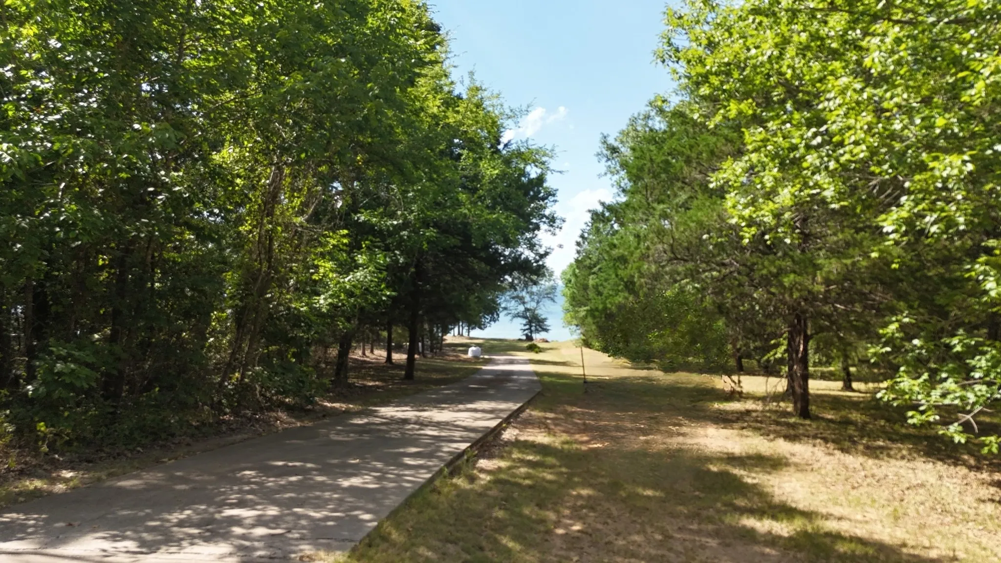 Unimproved Land For Sale in Freestone County , Lot 81 Appomattox, Streetman, Texas 75859, 0, 0, Garage spaces, 0 Sqft, built in 0, Price $495,000, mls#21307541, Real Estate Agent in Streetman, Homes For Sale in Freestone county, Homes For Sale in Streetman, Realtor in Streetman Texas, Real Estate Brokerage Independent Realty Texas, Luminita Cordes Realtor