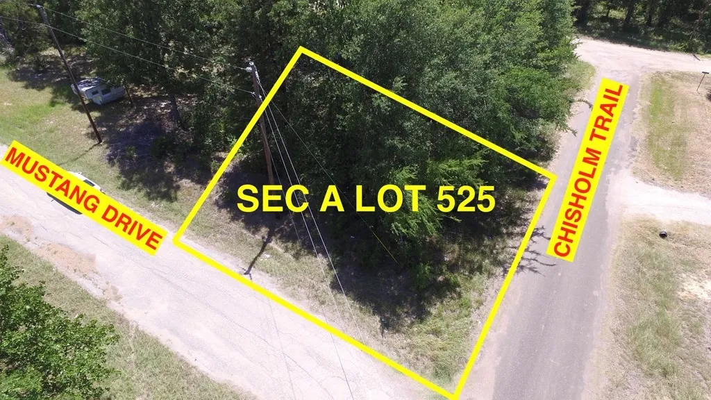 Unimproved Land For Sale in Henderson County , 00 Mustang Drive, Mabank, Texas 75156, 0, 0, Garage spaces, 0 Sqft, built in 0, mls#21319670, Real Estate Agent in Mabank, Homes For Sale in Henderson county, Homes For Sale in Mabank, Realtor in Mabank Texas, Real Estate Brokerage Independent Realty Texas, Luminita Cordes Realtor