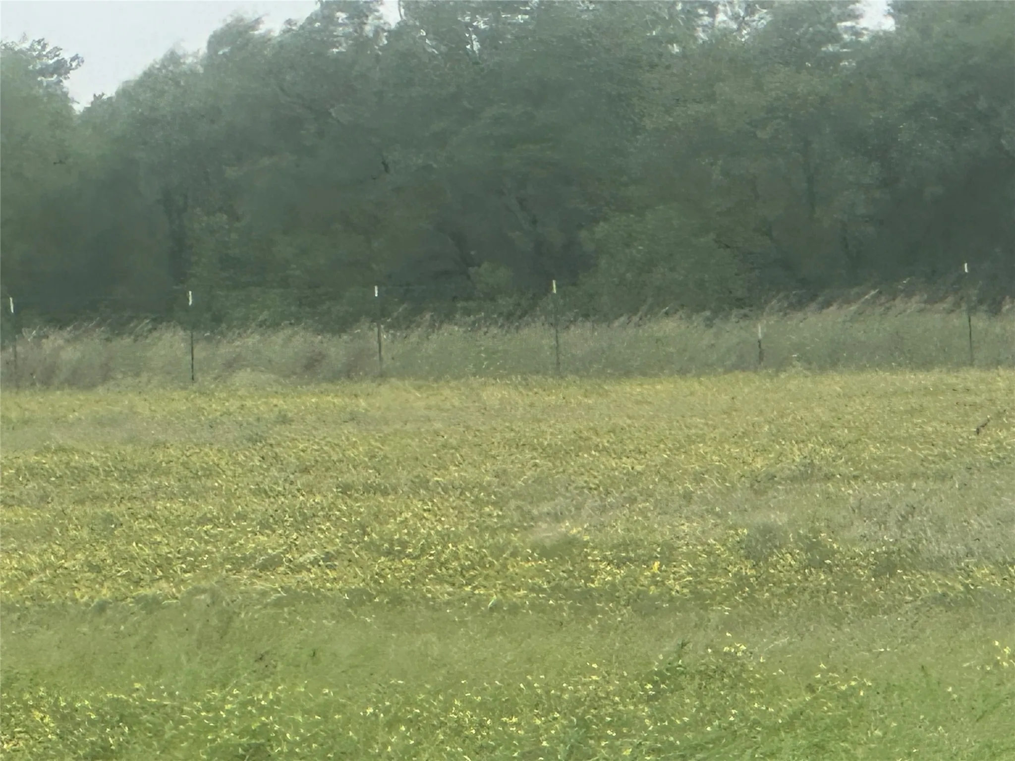 Improved Land For Sale in Knox County , 332 SW Railroad Ave, Knox City, Texas 79529, 0, 0, Garage spaces, 0 Sqft, built in 0, mls#21319761, Real Estate Agent in Knox City, Homes For Sale in Knox county, Homes For Sale in Knox City, Realtor in Knox City Texas, Real Estate Brokerage Independent Realty Texas, Luminita Cordes Realtor