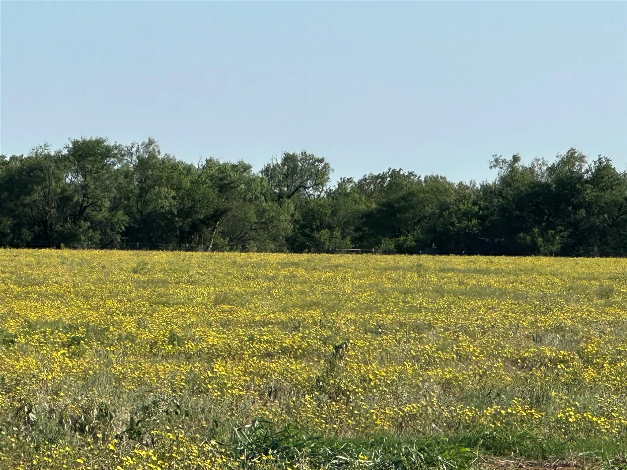 Improved Land For Sale in Knox County , 332 SW Railroad Ave, Knox City, Texas 79529, 0, 0, Garage spaces, 0 Sqft, built in 0, mls#21319761, Real Estate Agent in Knox City, Homes For Sale in Knox county, Homes For Sale in Knox City, Realtor in Knox City Texas, Real Estate Brokerage Independent Realty Texas, Luminita Cordes Realtor