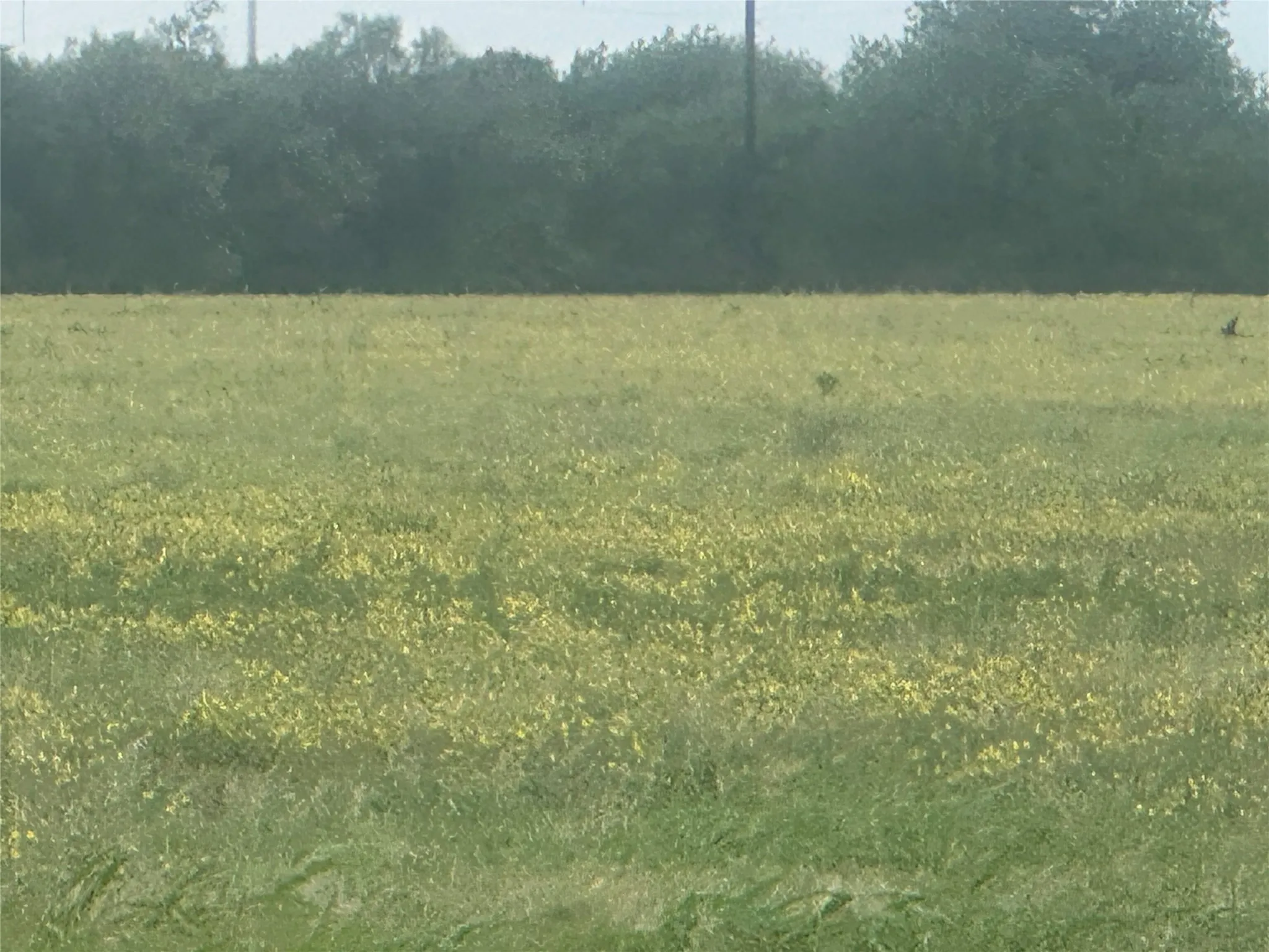 Improved Land For Sale in Knox County , 332 SW Railroad Ave, Knox City, Texas 79529, 0, 0, Garage spaces, 0 Sqft, built in 0, mls#21319761, Real Estate Agent in Knox City, Homes For Sale in Knox county, Homes For Sale in Knox City, Realtor in Knox City Texas, Real Estate Brokerage Independent Realty Texas, Luminita Cordes Realtor