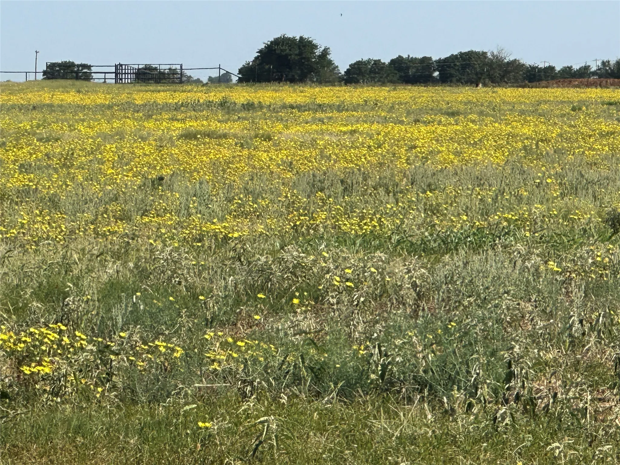 Improved Land For Sale in Knox County , 332 SW Railroad Ave, Knox City, Texas 79529, 0, 0, Garage spaces, 0 Sqft, built in 0, mls#21319761, Real Estate Agent in Knox City, Homes For Sale in Knox county, Homes For Sale in Knox City, Realtor in Knox City Texas, Real Estate Brokerage Independent Realty Texas, Luminita Cordes Realtor
