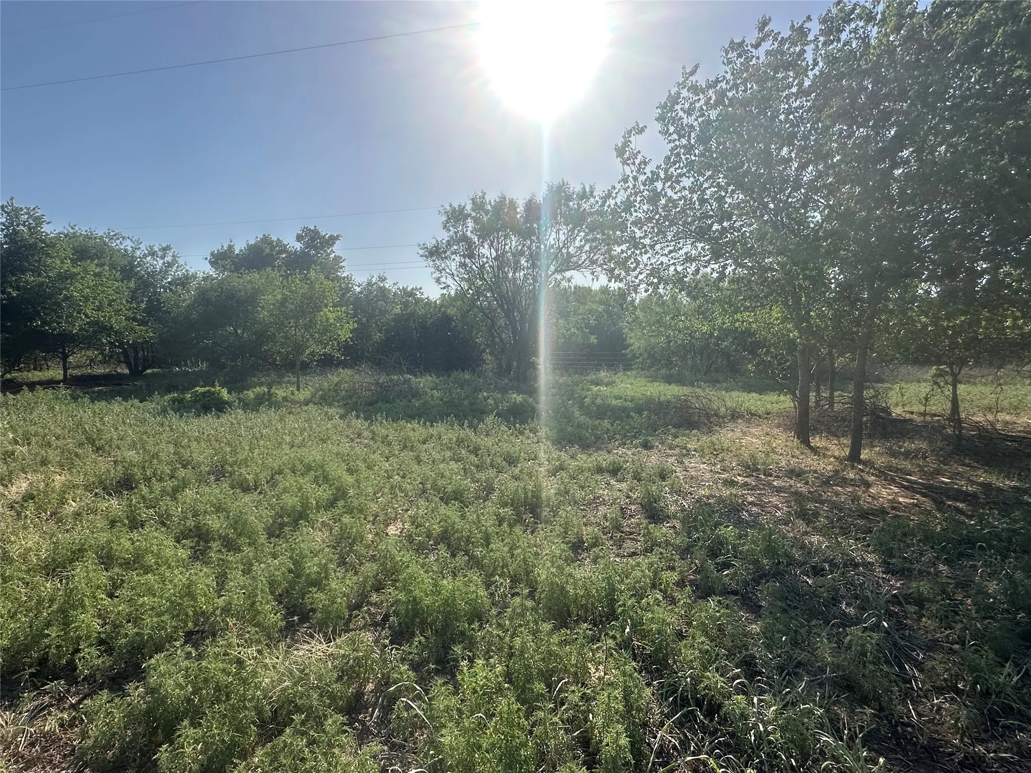 Improved Land For Sale in Knox County , 332 SW Railroad Ave, Knox City, Texas 79529, 0, 0, Garage spaces, 0 Sqft, built in 0, mls#21319761, Real Estate Agent in Knox City, Homes For Sale in Knox county, Homes For Sale in Knox City, Realtor in Knox City Texas, Real Estate Brokerage Independent Realty Texas, Luminita Cordes Realtor