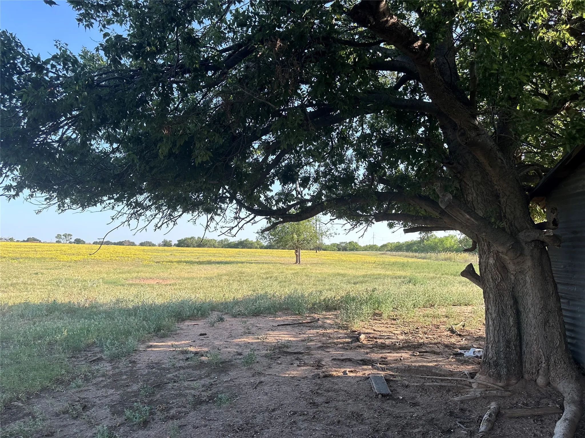Improved Land For Sale in Knox County , 332 SW Railroad Ave, Knox City, Texas 79529, 0, 0, Garage spaces, 0 Sqft, built in 0, mls#21319761, Real Estate Agent in Knox City, Homes For Sale in Knox county, Homes For Sale in Knox City, Realtor in Knox City Texas, Real Estate Brokerage Independent Realty Texas, Luminita Cordes Realtor