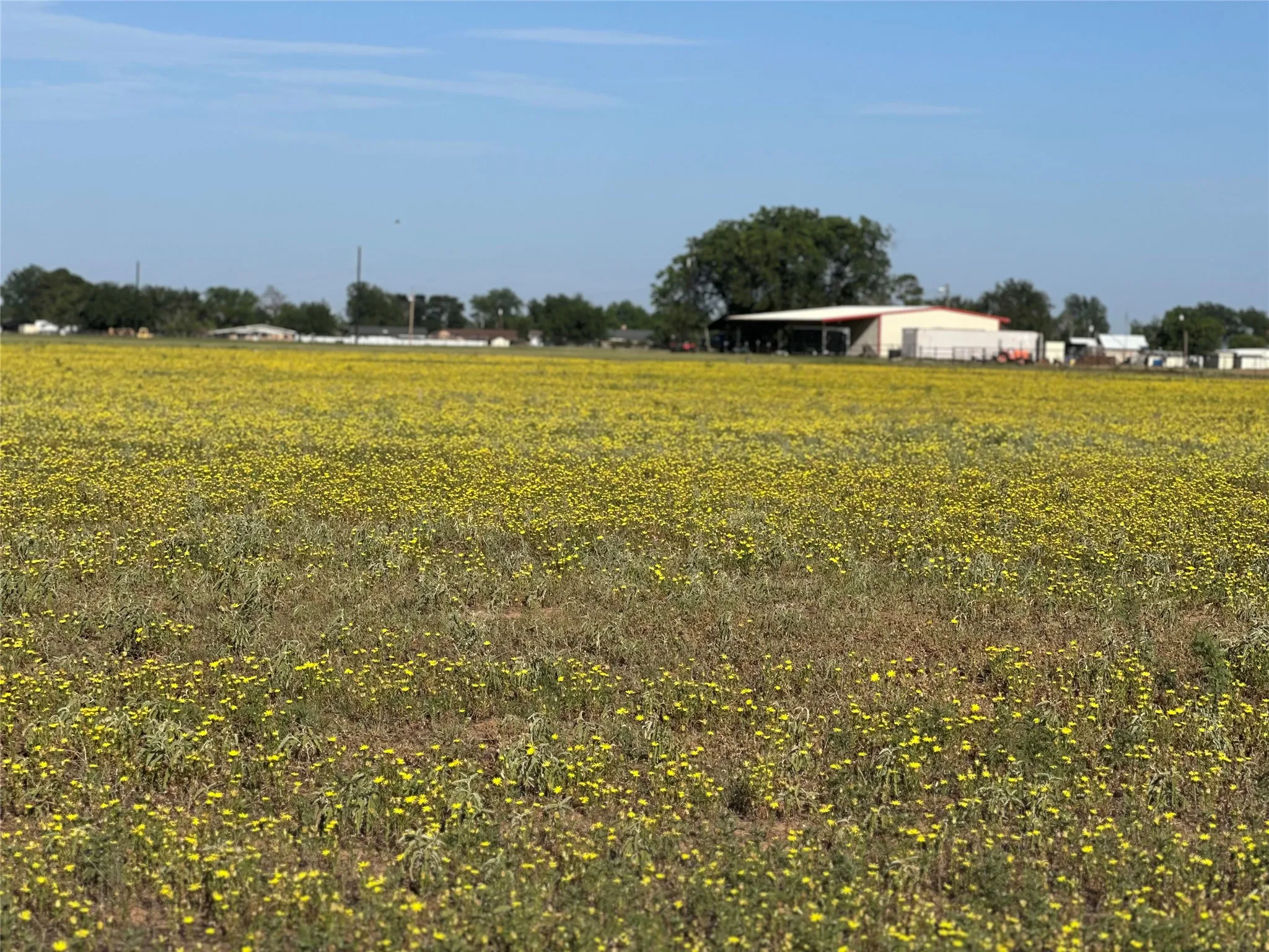 Improved Land For Sale in Knox County , 332 SW Railroad Ave, Knox City, Texas 79529, 0, 0, Garage spaces, 0 Sqft, built in 0, mls#21319761, Real Estate Agent in Knox City, Homes For Sale in Knox county, Homes For Sale in Knox City, Realtor in Knox City Texas, Real Estate Brokerage Independent Realty Texas, Luminita Cordes Realtor