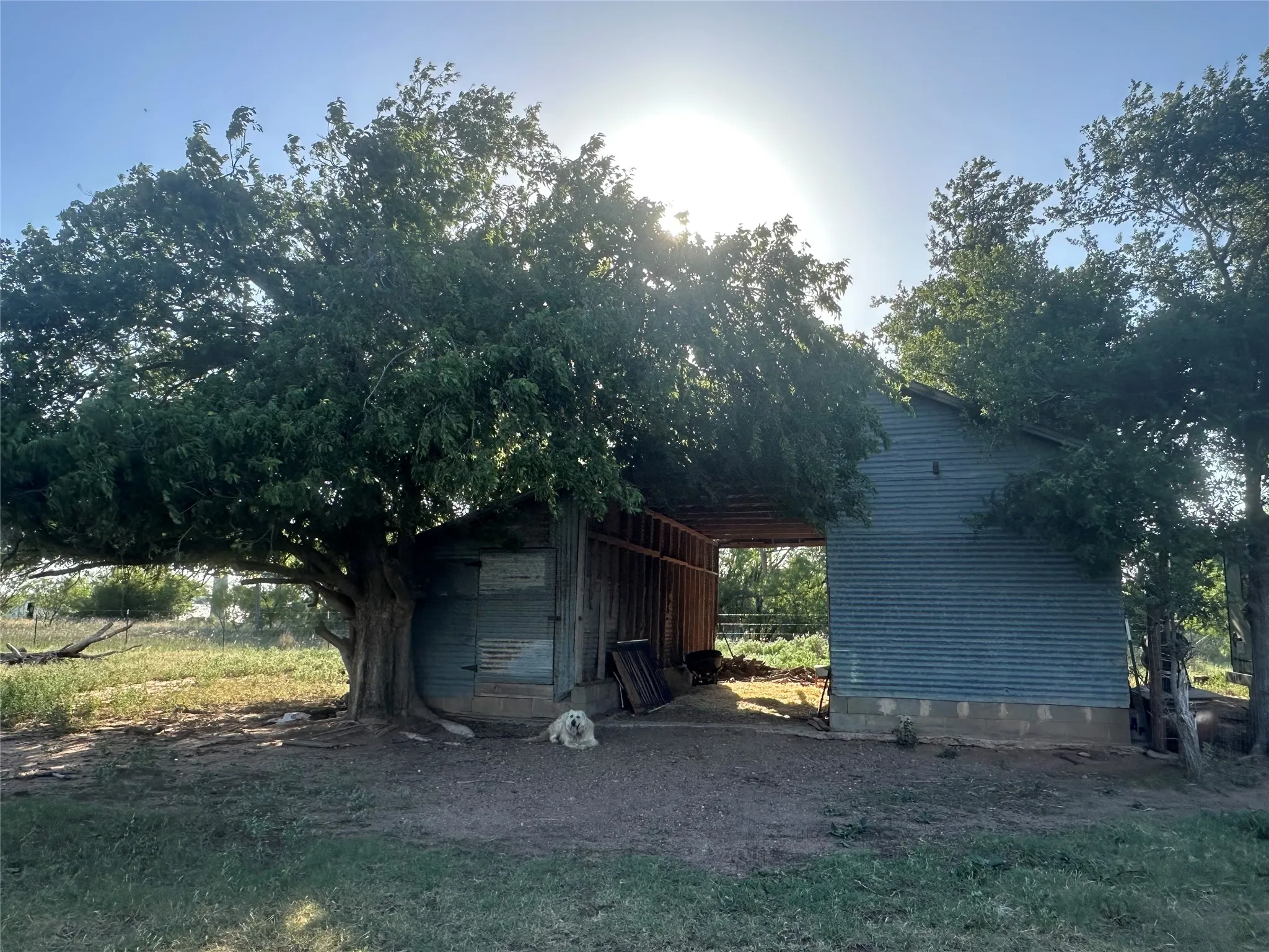 Improved Land For Sale in Knox County , 332 SW Railroad Ave, Knox City, Texas 79529, 0, 0, Garage spaces, 0 Sqft, built in 0, mls#21319761, Real Estate Agent in Knox City, Homes For Sale in Knox county, Homes For Sale in Knox City, Realtor in Knox City Texas, Real Estate Brokerage Independent Realty Texas, Luminita Cordes Realtor