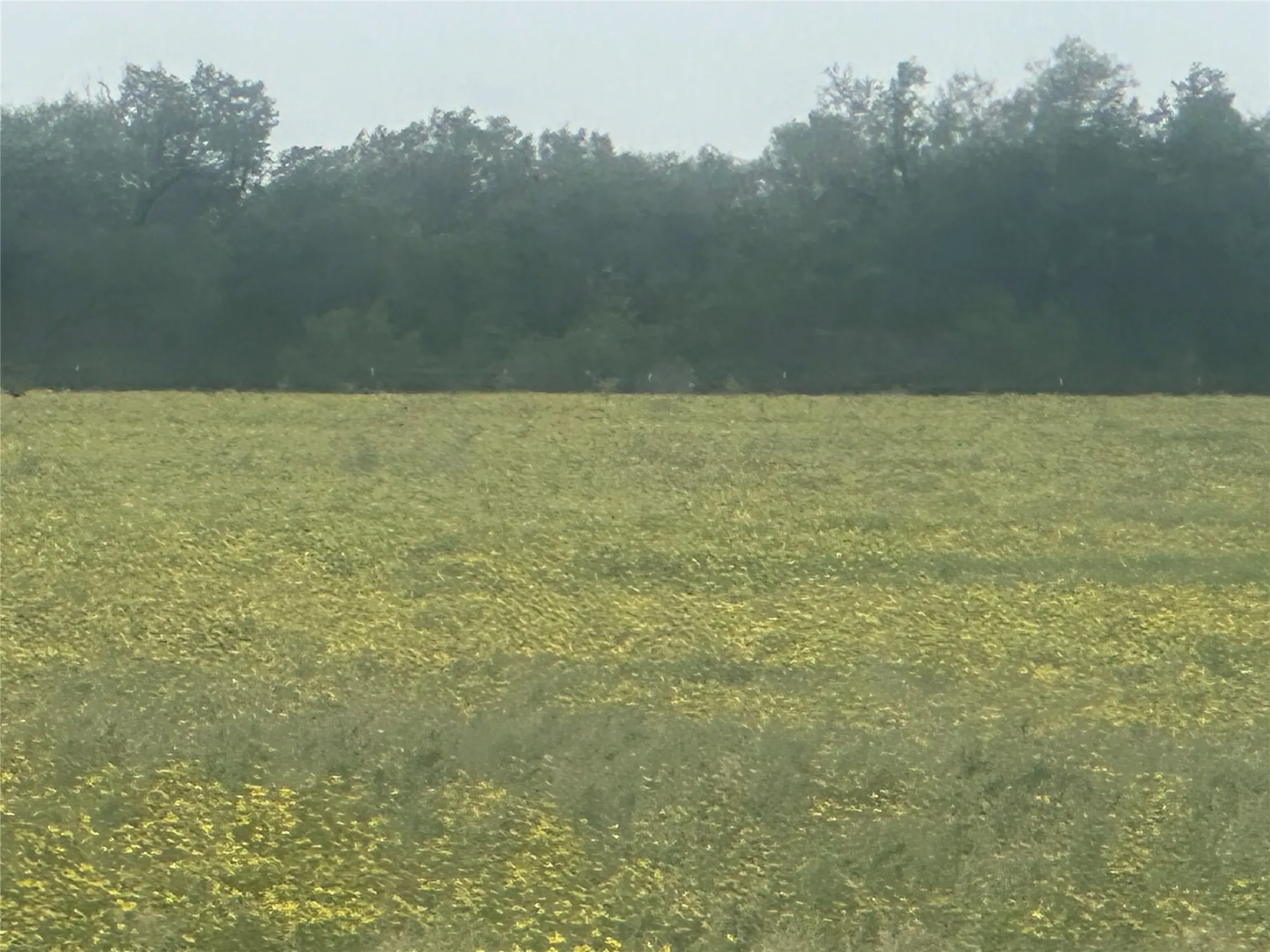 Improved Land For Sale in Knox County , 332 SW Railroad Ave, Knox City, Texas 79529, 0, 0, Garage spaces, 0 Sqft, built in 0, mls#21319761, Real Estate Agent in Knox City, Homes For Sale in Knox county, Homes For Sale in Knox City, Realtor in Knox City Texas, Real Estate Brokerage Independent Realty Texas, Luminita Cordes Realtor