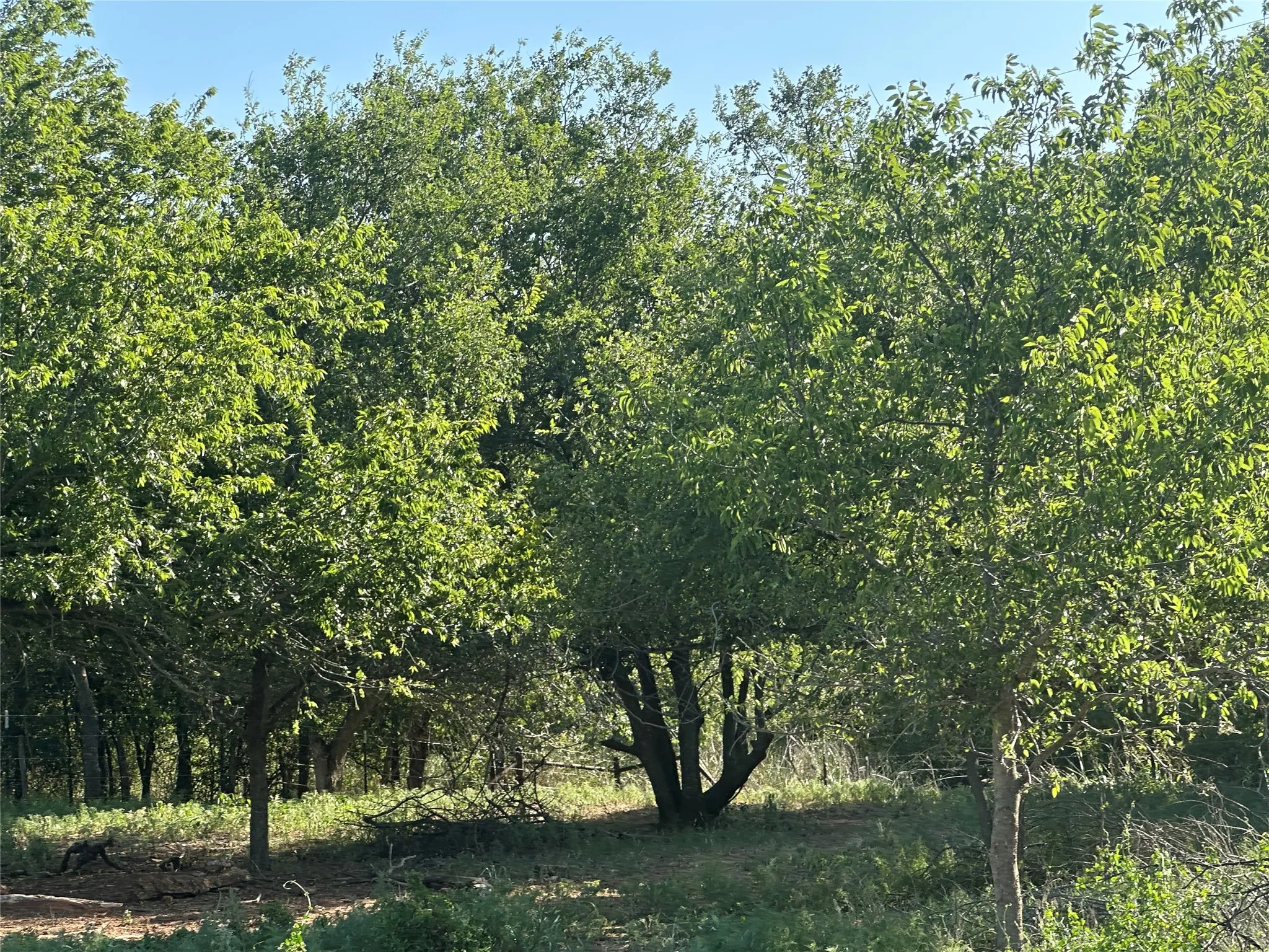 Improved Land For Sale in Knox County , 332 SW Railroad Ave, Knox City, Texas 79529, 0, 0, Garage spaces, 0 Sqft, built in 0, mls#21319761, Real Estate Agent in Knox City, Homes For Sale in Knox county, Homes For Sale in Knox City, Realtor in Knox City Texas, Real Estate Brokerage Independent Realty Texas, Luminita Cordes Realtor