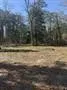 Unimproved Land For Sale in Wood County , 310 Private Road 8570, Winnsboro, Texas 75494, 0, 0, Garage spaces, 0 Sqft, built in 0, mls#21319762, Real Estate Agent in Winnsboro, Homes For Sale in Wood county, Homes For Sale in Winnsboro, Realtor in Winnsboro Texas, Real Estate Brokerage Independent Realty Texas, Luminita Cordes Realtor