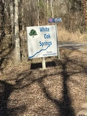 Unimproved Land For Sale in Wood County , 310 Private Road 8570, Winnsboro, Texas 75494, 0, 0, Garage spaces, 0 Sqft, built in 0, mls#21319762, Real Estate Agent in Winnsboro, Homes For Sale in Wood county, Homes For Sale in Winnsboro, Realtor in Winnsboro Texas, Real Estate Brokerage Independent Realty Texas, Luminita Cordes Realtor