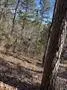 Unimproved Land For Sale in Wood County , 310 Private Road 8570, Winnsboro, Texas 75494, 0, 0, Garage spaces, 0 Sqft, built in 0, mls#21319762, Real Estate Agent in Winnsboro, Homes For Sale in Wood county, Homes For Sale in Winnsboro, Realtor in Winnsboro Texas, Real Estate Brokerage Independent Realty Texas, Luminita Cordes Realtor