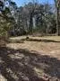 Unimproved Land For Sale in Wood County , 310 Private Road 8570, Winnsboro, Texas 75494, 0, 0, Garage spaces, 0 Sqft, built in 0, mls#21319762, Real Estate Agent in Winnsboro, Homes For Sale in Wood county, Homes For Sale in Winnsboro, Realtor in Winnsboro Texas, Real Estate Brokerage Independent Realty Texas, Luminita Cordes Realtor
