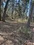 Unimproved Land For Sale in Wood County , 310 Private Road 8570, Winnsboro, Texas 75494, 0, 0, Garage spaces, 0 Sqft, built in 0, mls#21319762, Real Estate Agent in Winnsboro, Homes For Sale in Wood county, Homes For Sale in Winnsboro, Realtor in Winnsboro Texas, Real Estate Brokerage Independent Realty Texas, Luminita Cordes Realtor