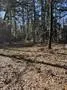 Unimproved Land For Sale in Wood County , 310 Private Road 8570, Winnsboro, Texas 75494, 0, 0, Garage spaces, 0 Sqft, built in 0, mls#21319762, Real Estate Agent in Winnsboro, Homes For Sale in Wood county, Homes For Sale in Winnsboro, Realtor in Winnsboro Texas, Real Estate Brokerage Independent Realty Texas, Luminita Cordes Realtor