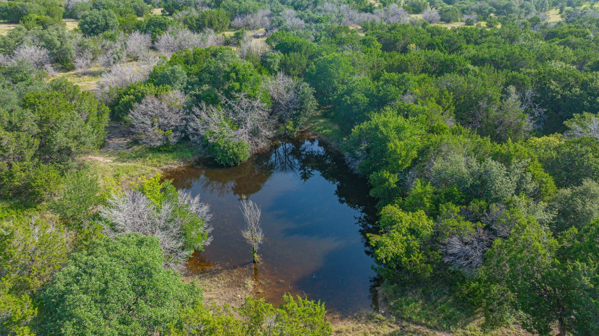 Unimproved Land For Sale in Parker County , 1858 Trailwood Drive, Weatherford, Texas 76085, 0, 0, Garage spaces, 0 Sqft, built in 0, mls#21312565, Real Estate Agent in Weatherford, Homes For Sale in Parker county, Homes For Sale in Weatherford, Realtor in Weatherford Texas, Real Estate Brokerage Independent Realty Texas, Luminita Cordes Realtor