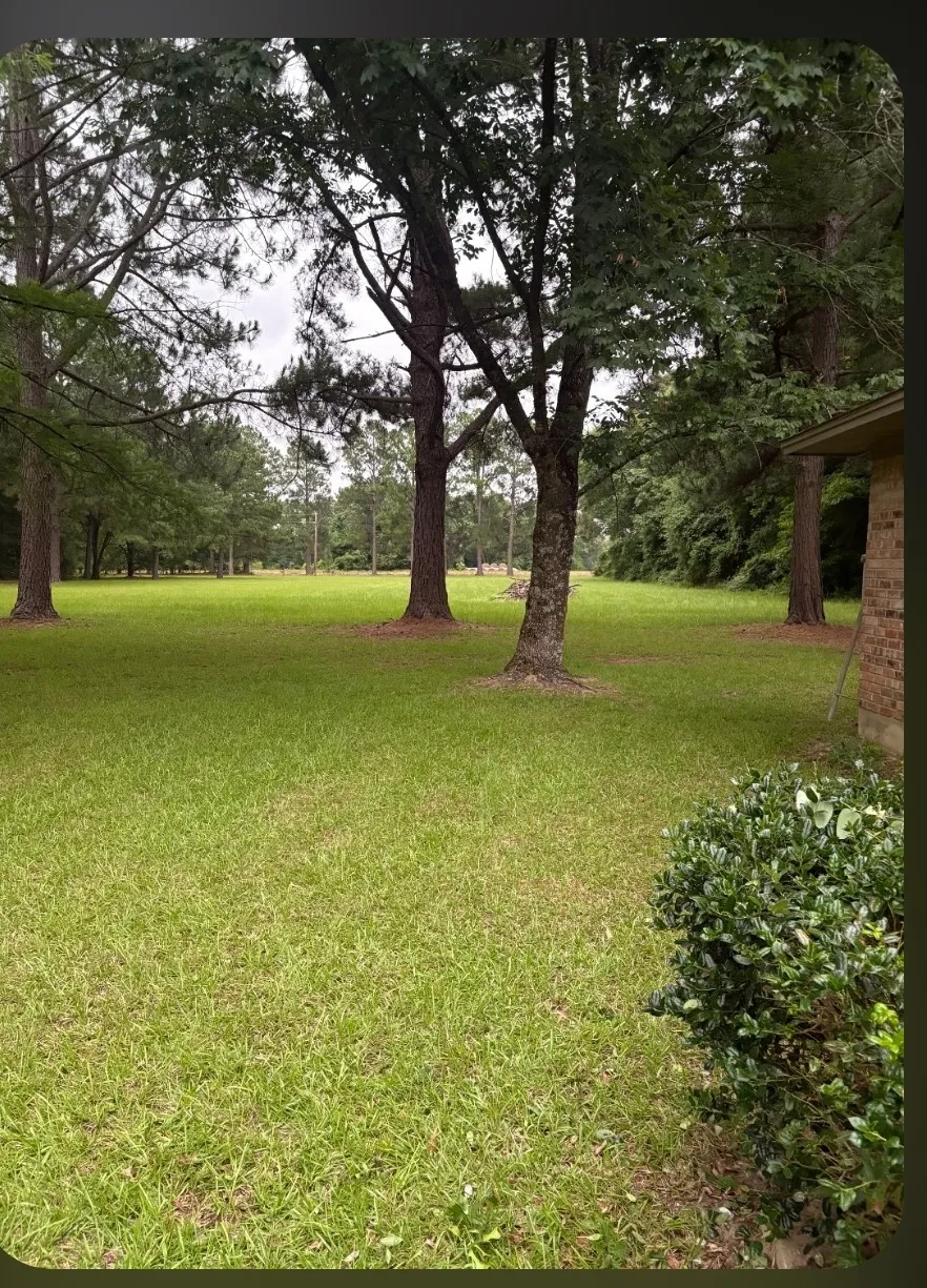 Single Family Residence For Sale in Van Zandt County , 741 VZ County Road 4134, Canton, Texas 75103, 3 Bedroom, 1 Bathroom, 2 Garage spaces, 1,491 Sqft, built in 1984, mls#21318274, Real Estate Agent in Canton, Homes For Sale in Van Zandt county, Homes For Sale in Canton, Realtor in Canton Texas, Real Estate Brokerage Independent Realty Texas, Luminita Cordes Realtor