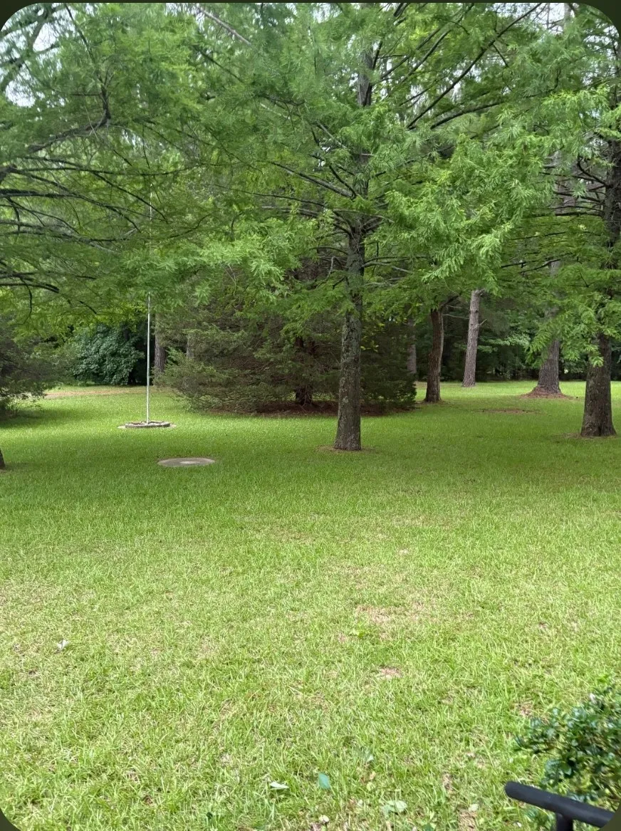 Single Family Residence For Sale in Van Zandt County , 741 VZ County Road 4134, Canton, Texas 75103, 3 Bedroom, 1 Bathroom, 2 Garage spaces, 1,491 Sqft, built in 1984, mls#21318274, Real Estate Agent in Canton, Homes For Sale in Van Zandt county, Homes For Sale in Canton, Realtor in Canton Texas, Real Estate Brokerage Independent Realty Texas, Luminita Cordes Realtor