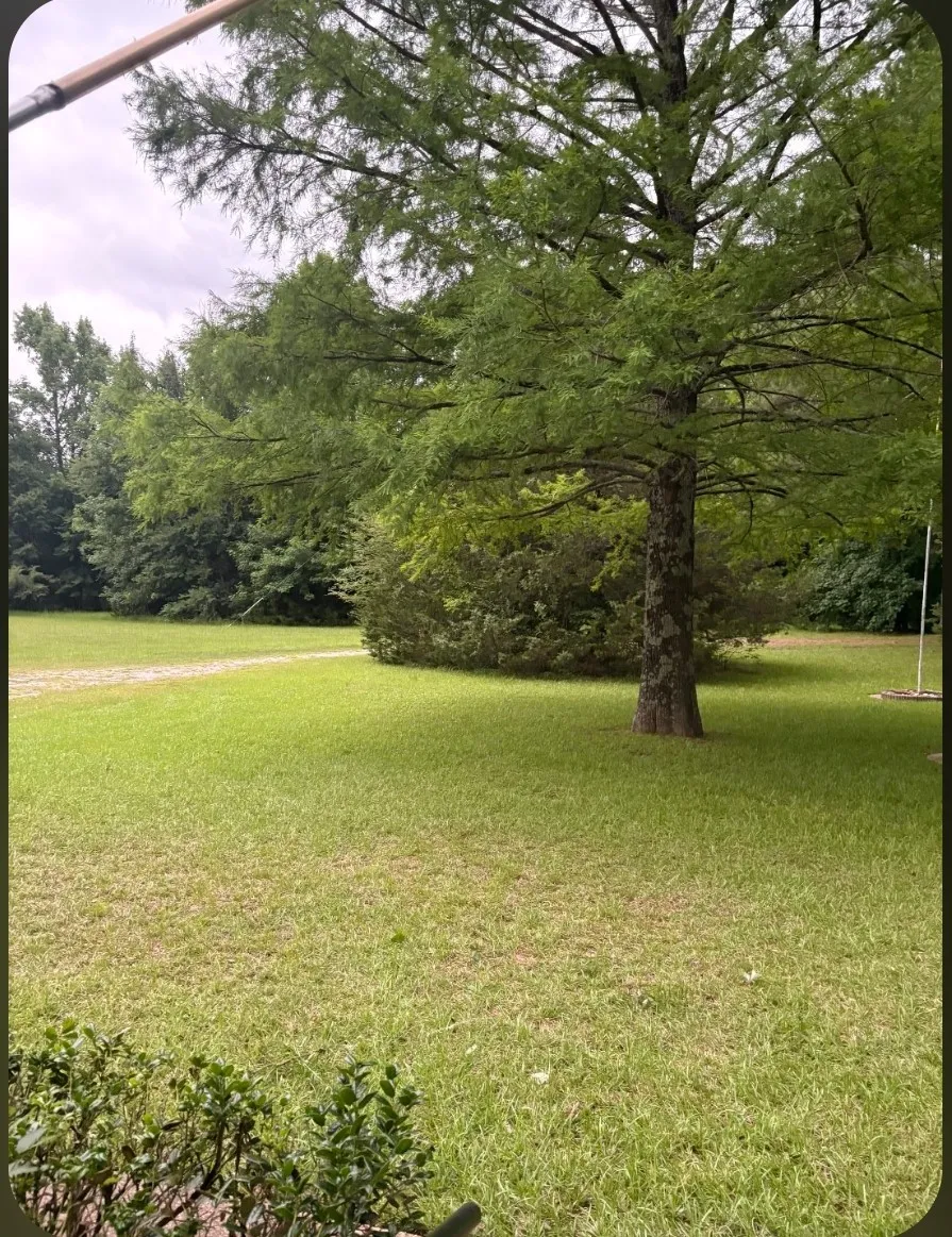 Single Family Residence For Sale in Van Zandt County , 741 VZ County Road 4134, Canton, Texas 75103, 3 Bedroom, 1 Bathroom, 2 Garage spaces, 1,491 Sqft, built in 1984, mls#21318274, Real Estate Agent in Canton, Homes For Sale in Van Zandt county, Homes For Sale in Canton, Realtor in Canton Texas, Real Estate Brokerage Independent Realty Texas, Luminita Cordes Realtor