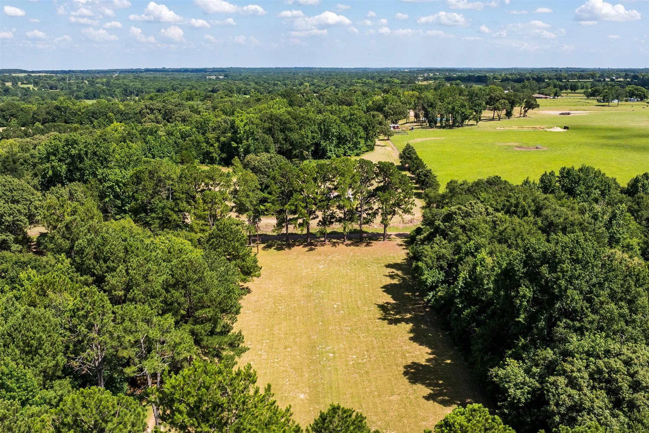 Single Family Residence For Sale in Van Zandt County , 741 VZ County Road 4134, Canton, Texas 75103, 3 Bedroom, 1 Bathroom, 2 Garage spaces, 1,491 Sqft, built in 1984, mls#21318274, Real Estate Agent in Canton, Homes For Sale in Van Zandt county, Homes For Sale in Canton, Realtor in Canton Texas, Real Estate Brokerage Independent Realty Texas, Luminita Cordes Realtor