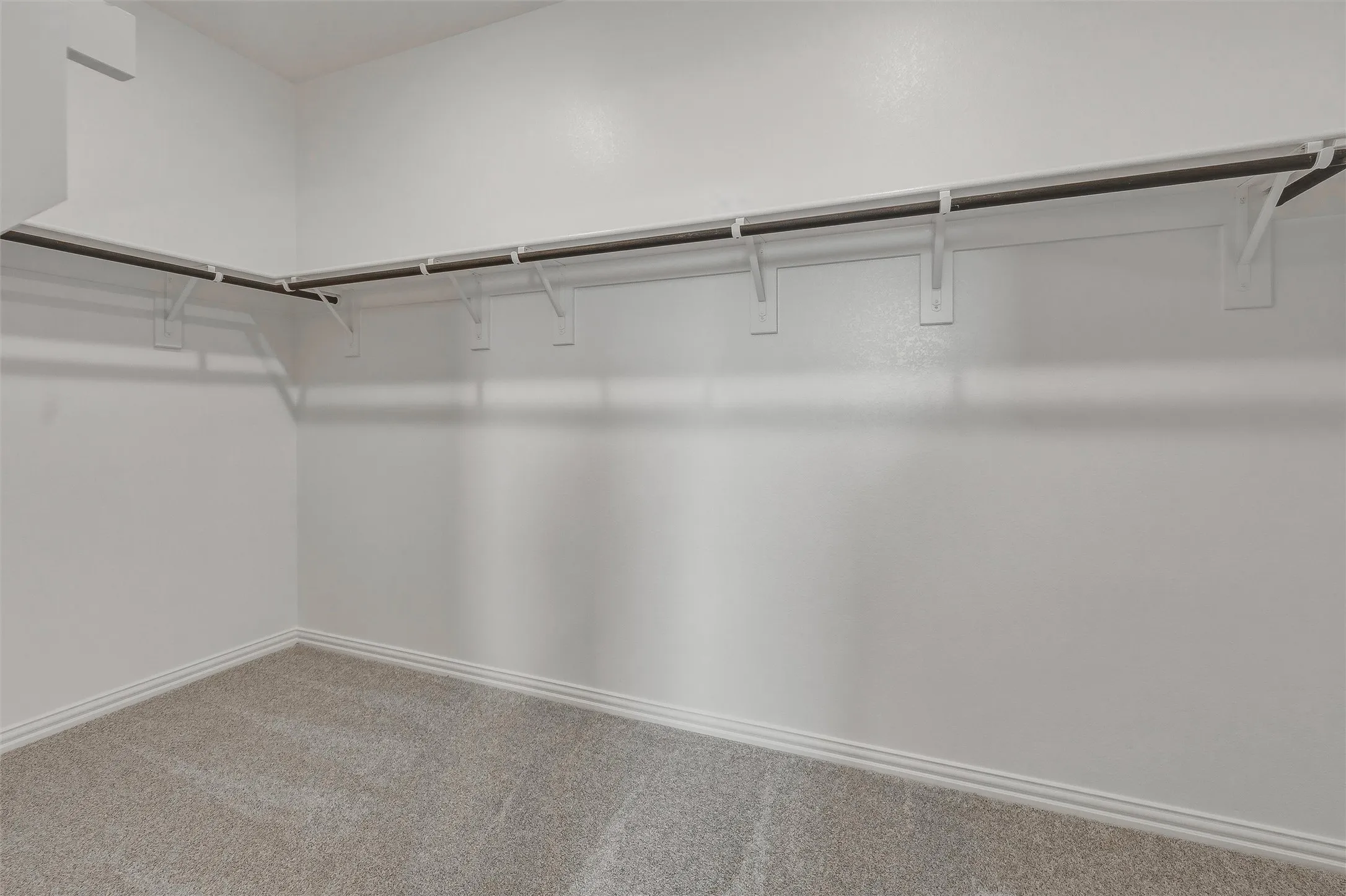 Wall-mounted shelving system, dual hanging rods, light-colored carpet, and white trim