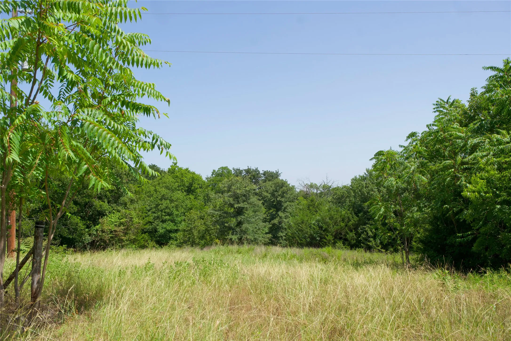Unimproved Land For Sale in Montague County , 2492 FM 922, Forestburg, Texas 76239, 0, 0, Garage spaces, 0 Sqft, built in 0, mls#21309881, Real Estate Agent in Forestburg, Homes For Sale in Montague county, Homes For Sale in Forestburg, Realtor in Forestburg Texas, Real Estate Brokerage Independent Realty Texas, Luminita Cordes Realtor