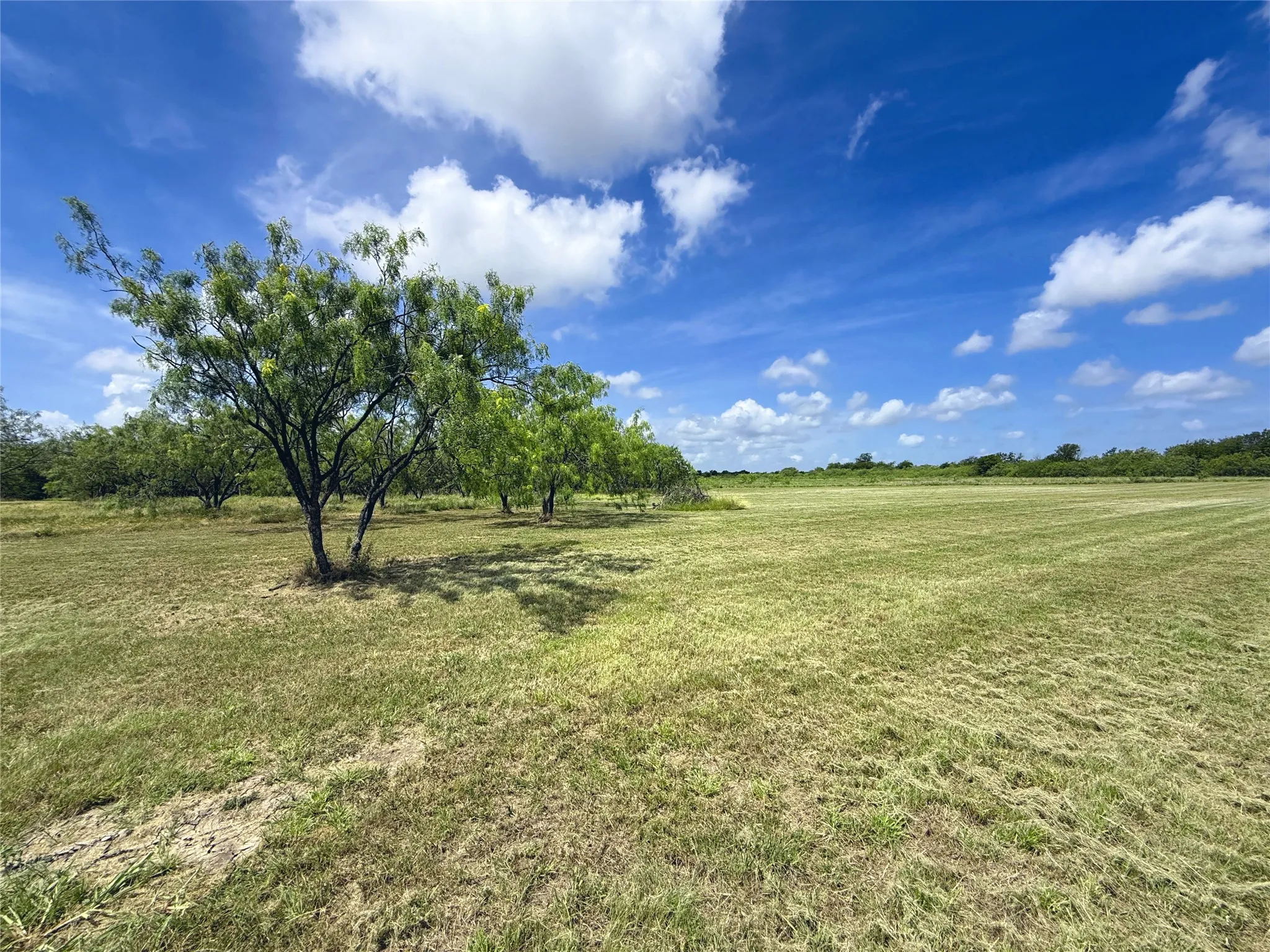 A perfect balance of open lawn and native trees creates an inviting setting for your future home.