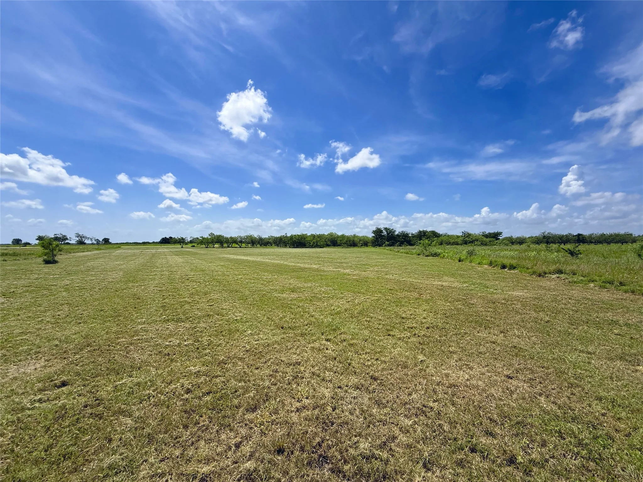 Open, level terrain provides exceptional flexibility for home placement and outdoor living.