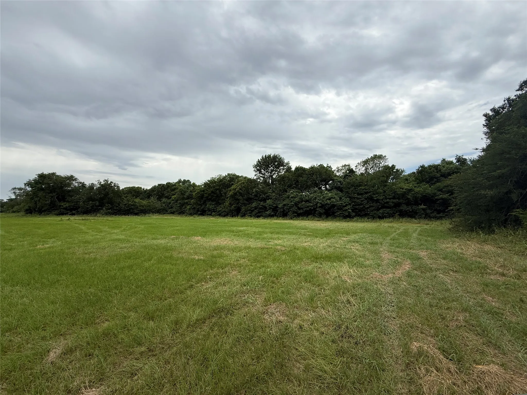 Unimproved Land For Sale in Kaufman County , 000 county road 313 Co Rd 313, Terrell, Texas 75161, 0, 0, Garage spaces, 0 Sqft, built in 0, mls#21319526, Real Estate Agent in Terrell, Homes For Sale in Kaufman county, Homes For Sale in Terrell, Realtor in Terrell Texas, Real Estate Brokerage Independent Realty Texas, Luminita Cordes Realtor