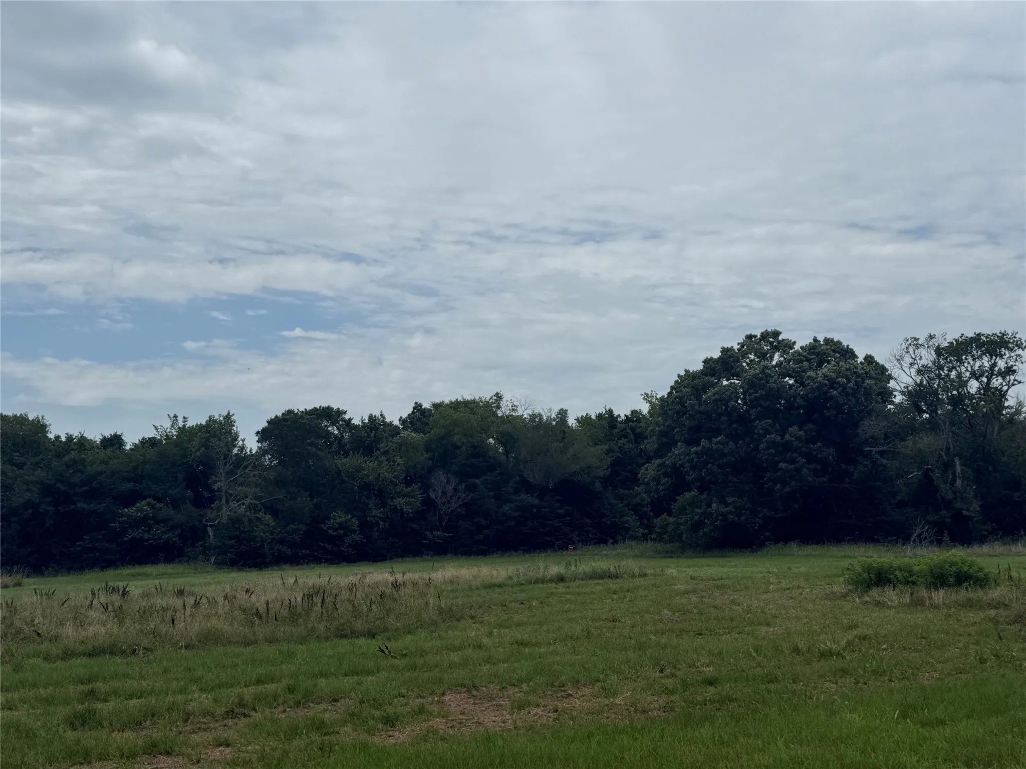 Unimproved Land For Sale in Kaufman County , 000 county road 313 Co Rd 313, Terrell, Texas 75161, 0, 0, Garage spaces, 0 Sqft, built in 0, mls#21319526, Real Estate Agent in Terrell, Homes For Sale in Kaufman county, Homes For Sale in Terrell, Realtor in Terrell Texas, Real Estate Brokerage Independent Realty Texas, Luminita Cordes Realtor
