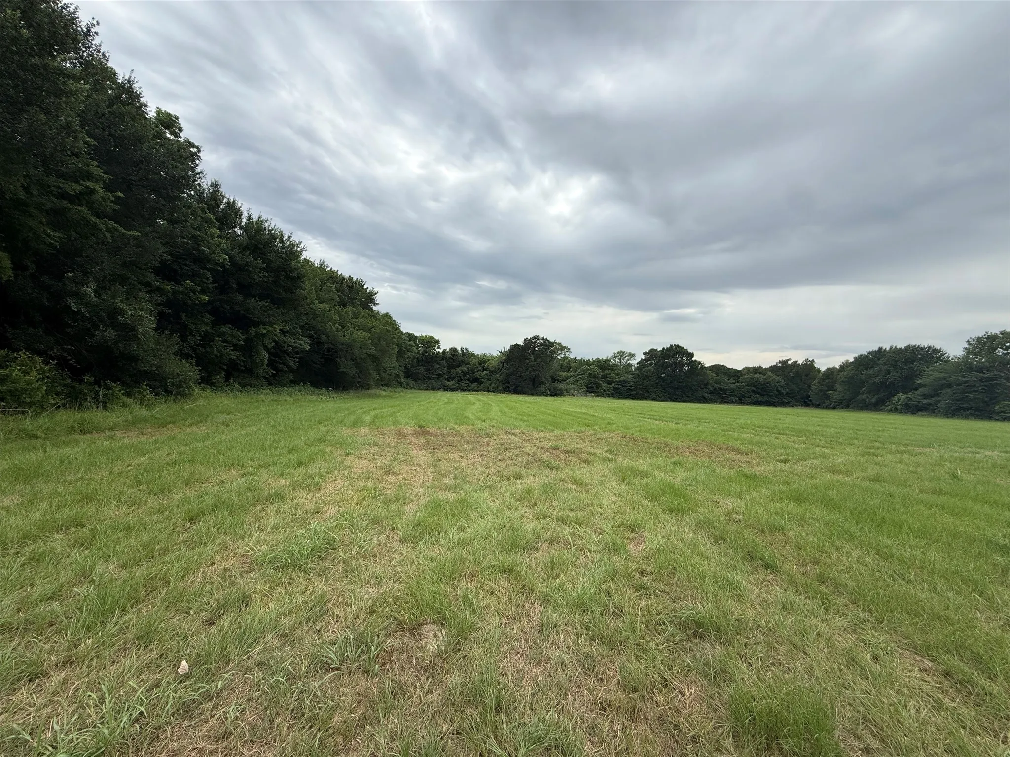 Expansive land parcel featuring open fields and mature perimeter trees
