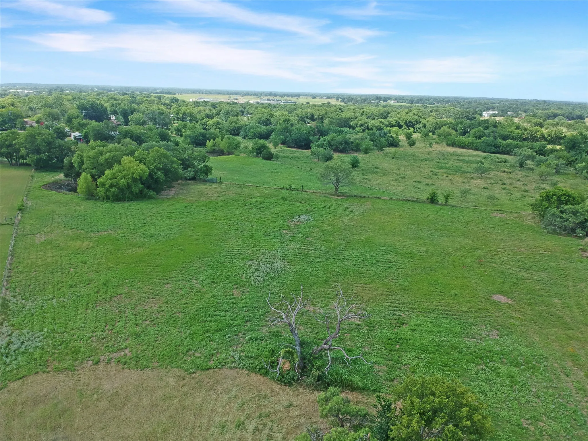 Expansive green field with natural tree lines and scattered mature trees under a clear sky