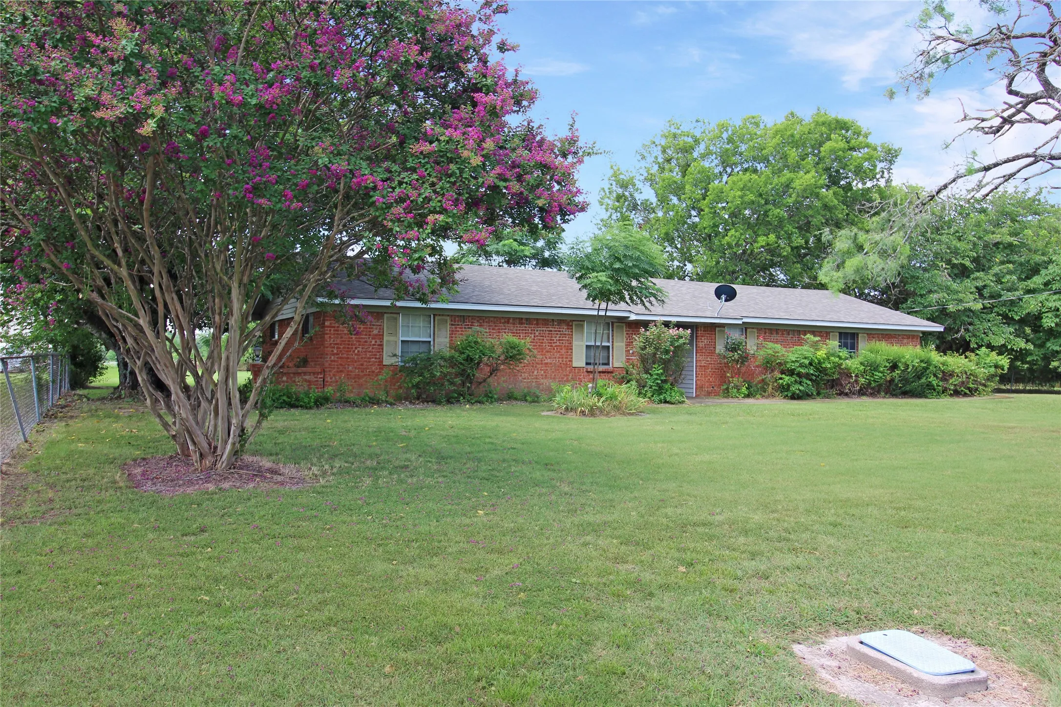 Brick ranch-style residence featuring a prominent flowering crape myrtle tree