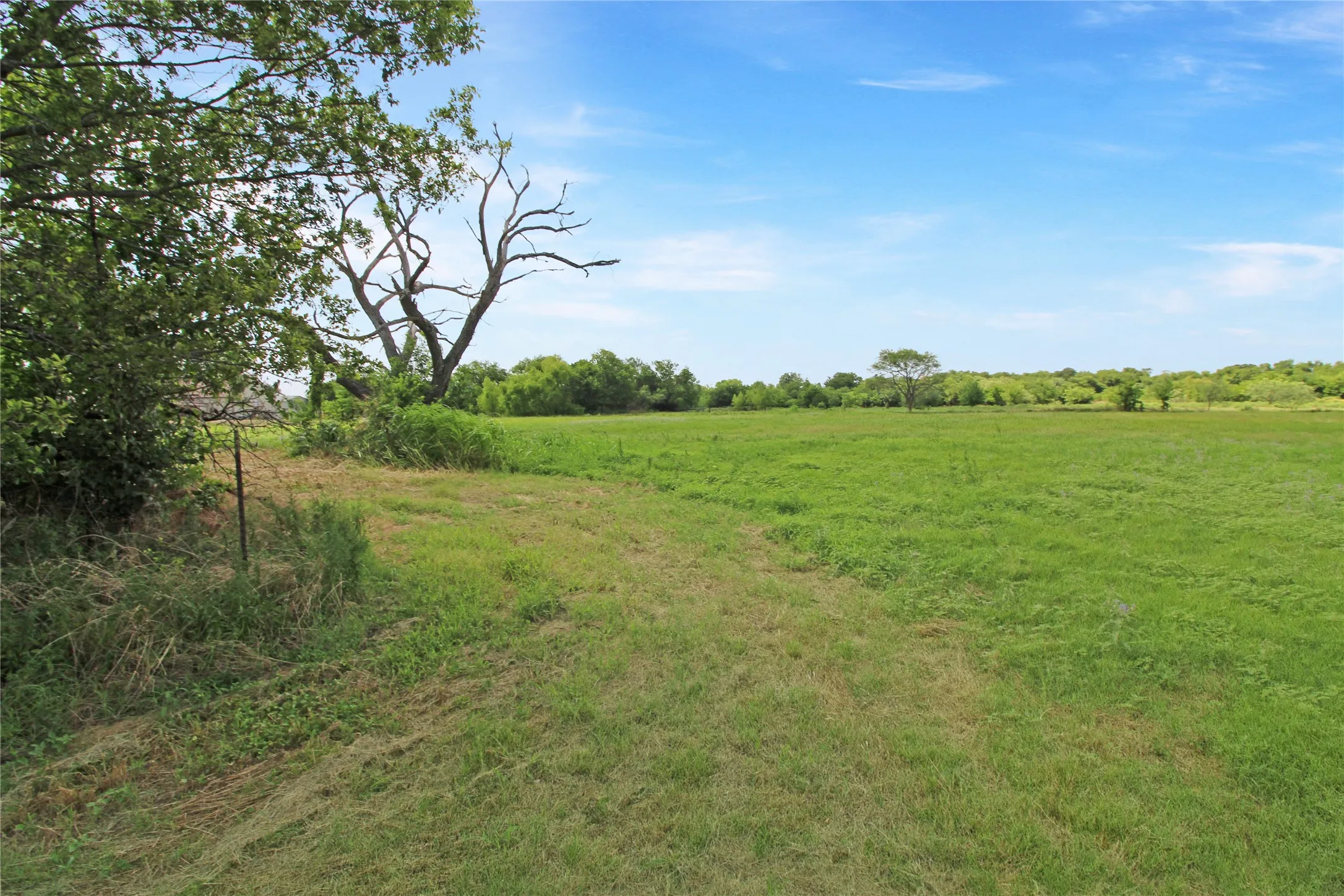 Expansive open field under a clear sky