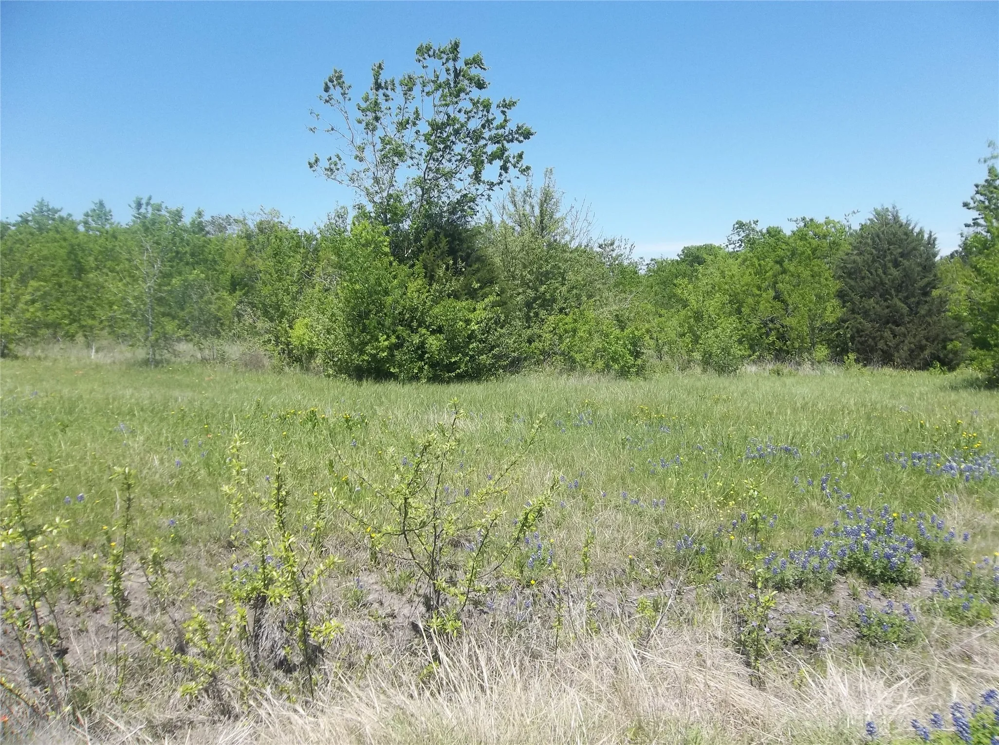 Unimproved Land For Sale in Navarro County , 1821 State Highway 309, Kerens, Texas 75144, 0, 0, Garage spaces, 0 Sqft, built in 0, Price $409,000, mls#21319888, Real Estate Agent in Kerens, Homes For Sale in Navarro county, Homes For Sale in Kerens, Realtor in Kerens Texas, Real Estate Brokerage Independent Realty Texas, Luminita Cordes Realtor