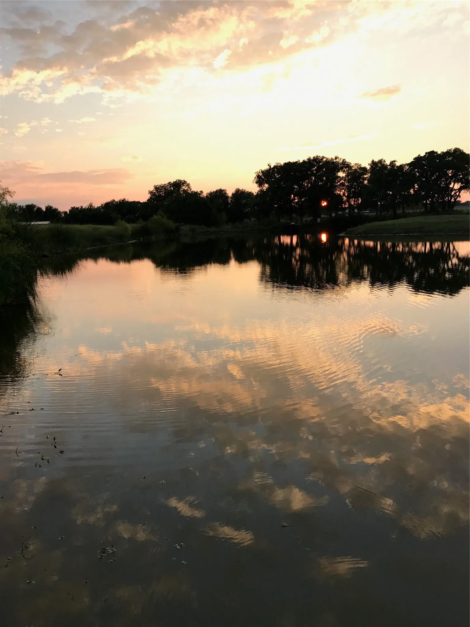 Single Family Residence For Sale in Parker County , 3200 Fairview Road, Millsap, Texas 76066, 3 Bedroom, 2 Bathroom, Garage spaces, 1,344 Sqft, built in 1990, mls#21319900, Real Estate Agent in Millsap, Homes For Sale in Parker county, Homes For Sale in Millsap, Realtor in Millsap Texas, Real Estate Brokerage Independent Realty Texas, Luminita Cordes Realtor