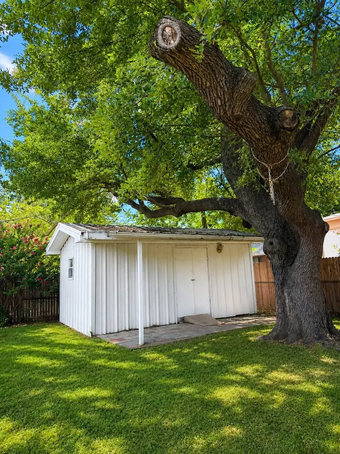 Spacious backyard featuring a substantial mature tree, green lawn, white storage shed, and privacy fencing
