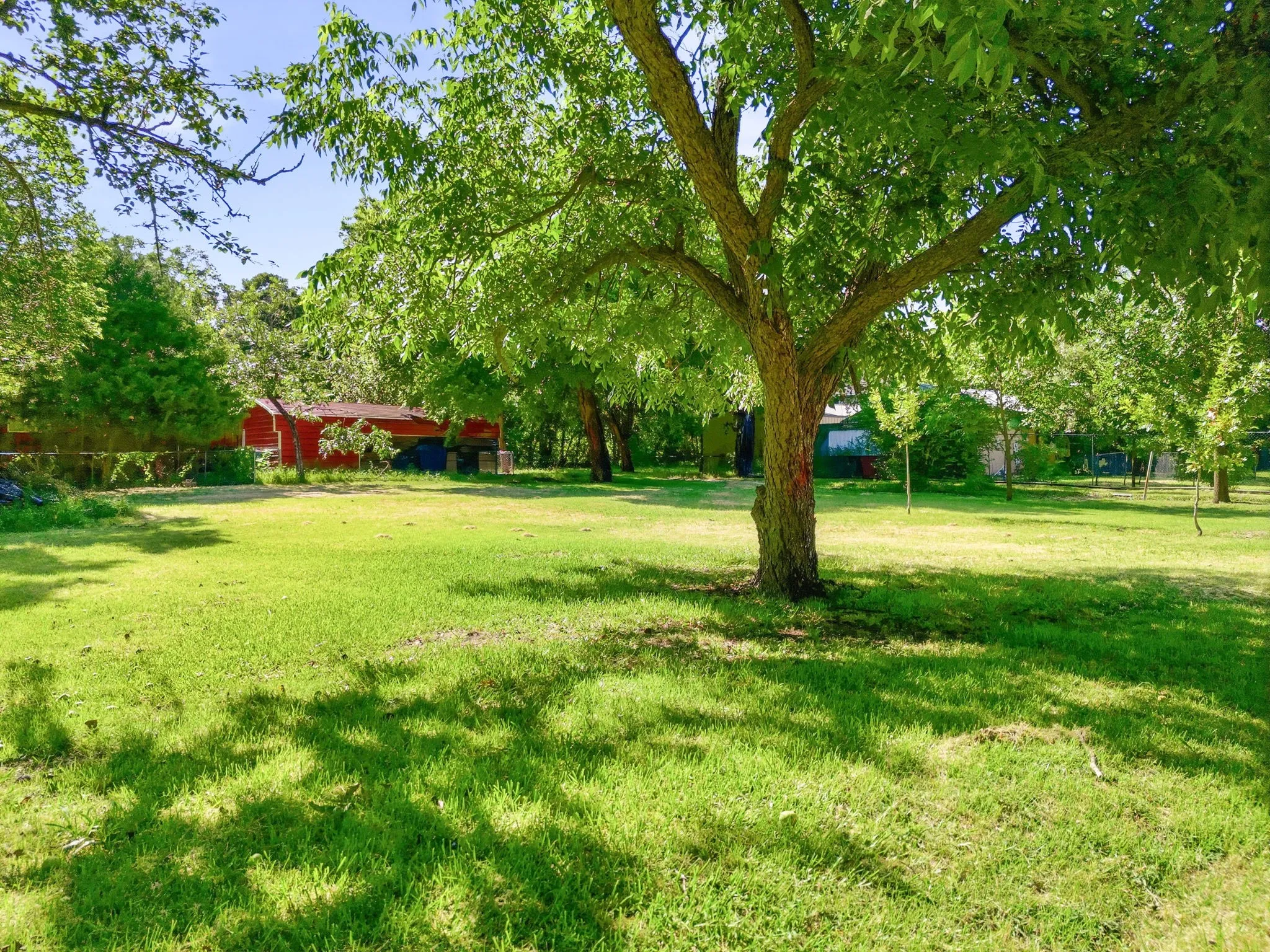 Unimproved Land For Sale in Collin County , 917 Mcclain Street, Princeton, Texas 75407, 0, 0, Garage spaces, 0 Sqft, built in 0, mls#21319395, Real Estate Agent in Princeton, Homes For Sale in Collin county, Homes For Sale in Princeton, Realtor in Princeton Texas, Real Estate Brokerage Independent Realty Texas, Luminita Cordes Realtor