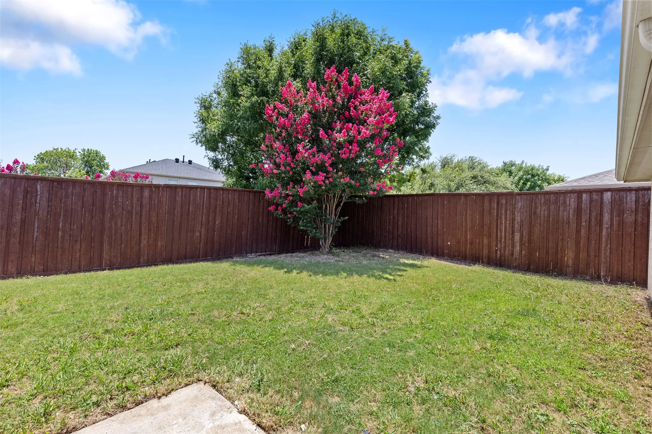 Back yard