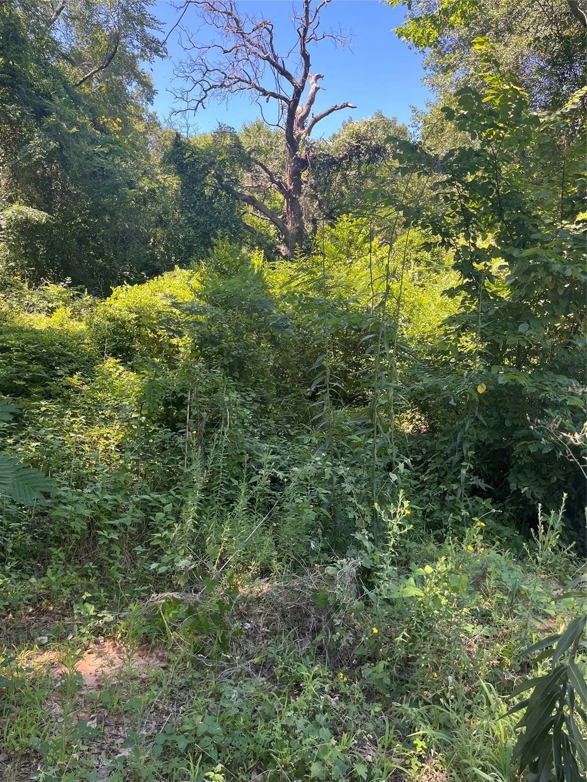 Unimproved Land For Sale in Henderson County , 0 Ponderosa Drive, Eustace, Texas 75124, 0, 0, Garage spaces, 0 Sqft, built in 0, Price $19,900, mls#21319873, Real Estate Agent in Eustace, Homes For Sale in Henderson county, Homes For Sale in Eustace, Realtor in Eustace Texas, Real Estate Brokerage Independent Realty Texas, Luminita Cordes Realtor