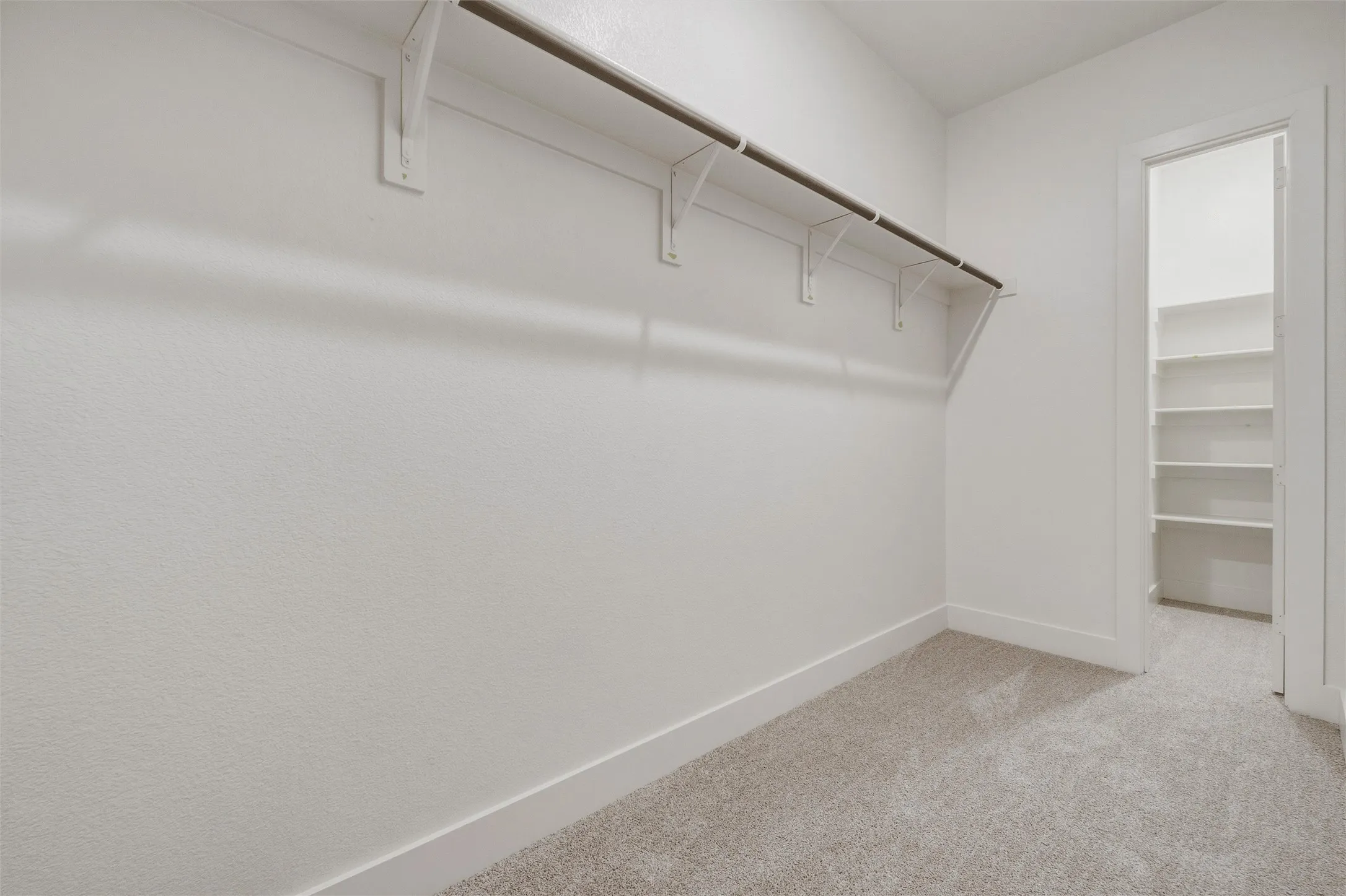 Carpeted closet space featuring a built-in hanging rod, wall-mounted shelving, and white baseboards