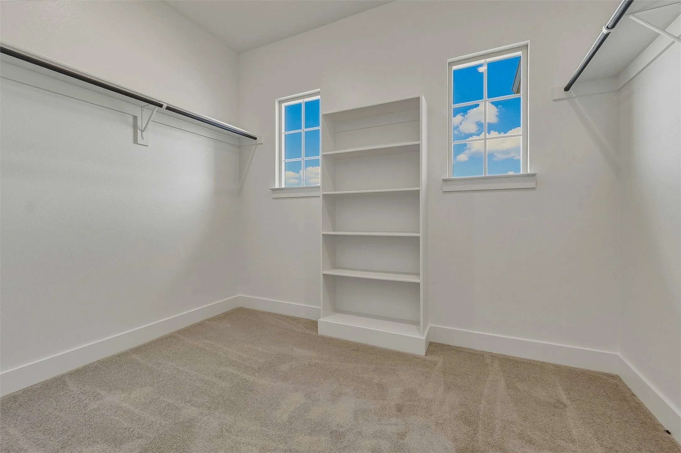 Built-in shelving unit, two windows with gridded panes, two clothing rods, and neutral carpet flooring