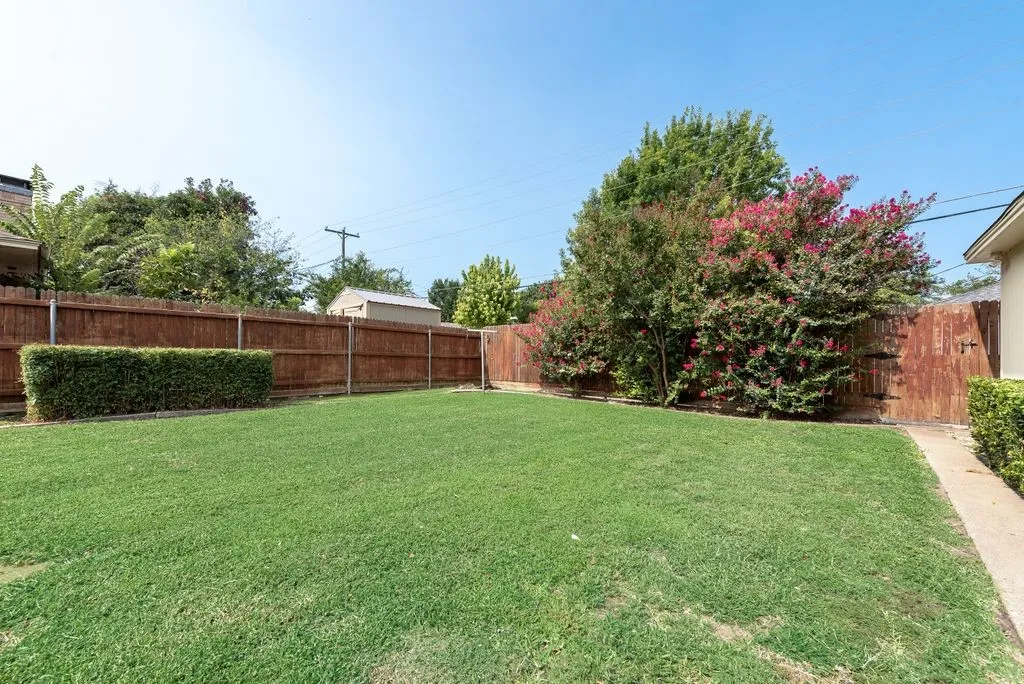 Large Backyard