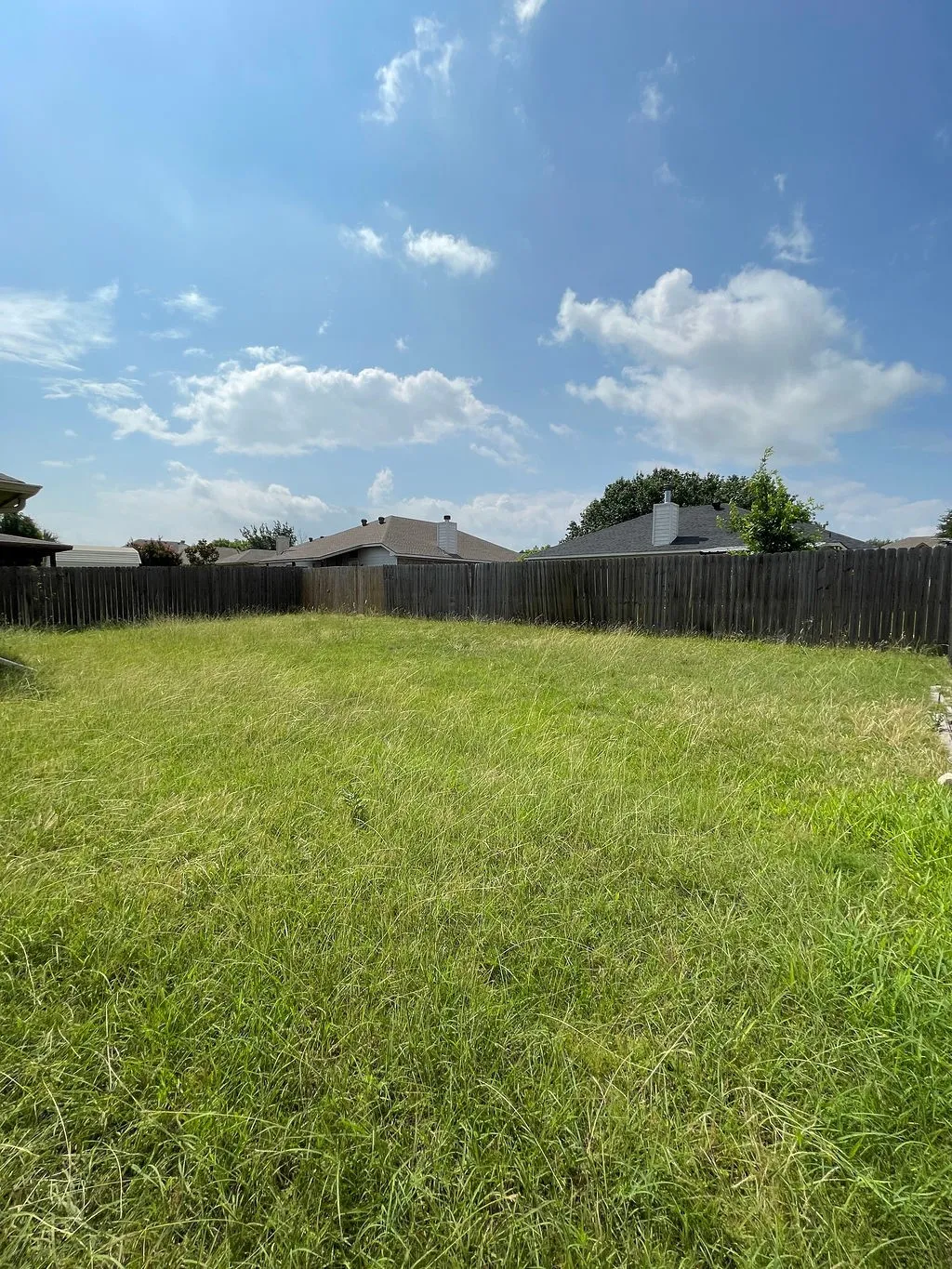 Expansive grassy yard with full wooden privacy fencing