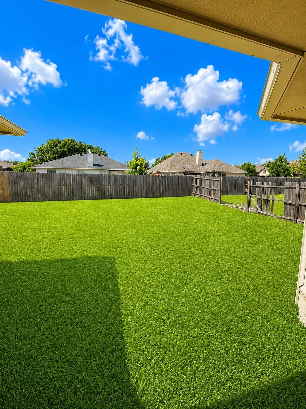 Expansive green lawn with wooden privacy fencing