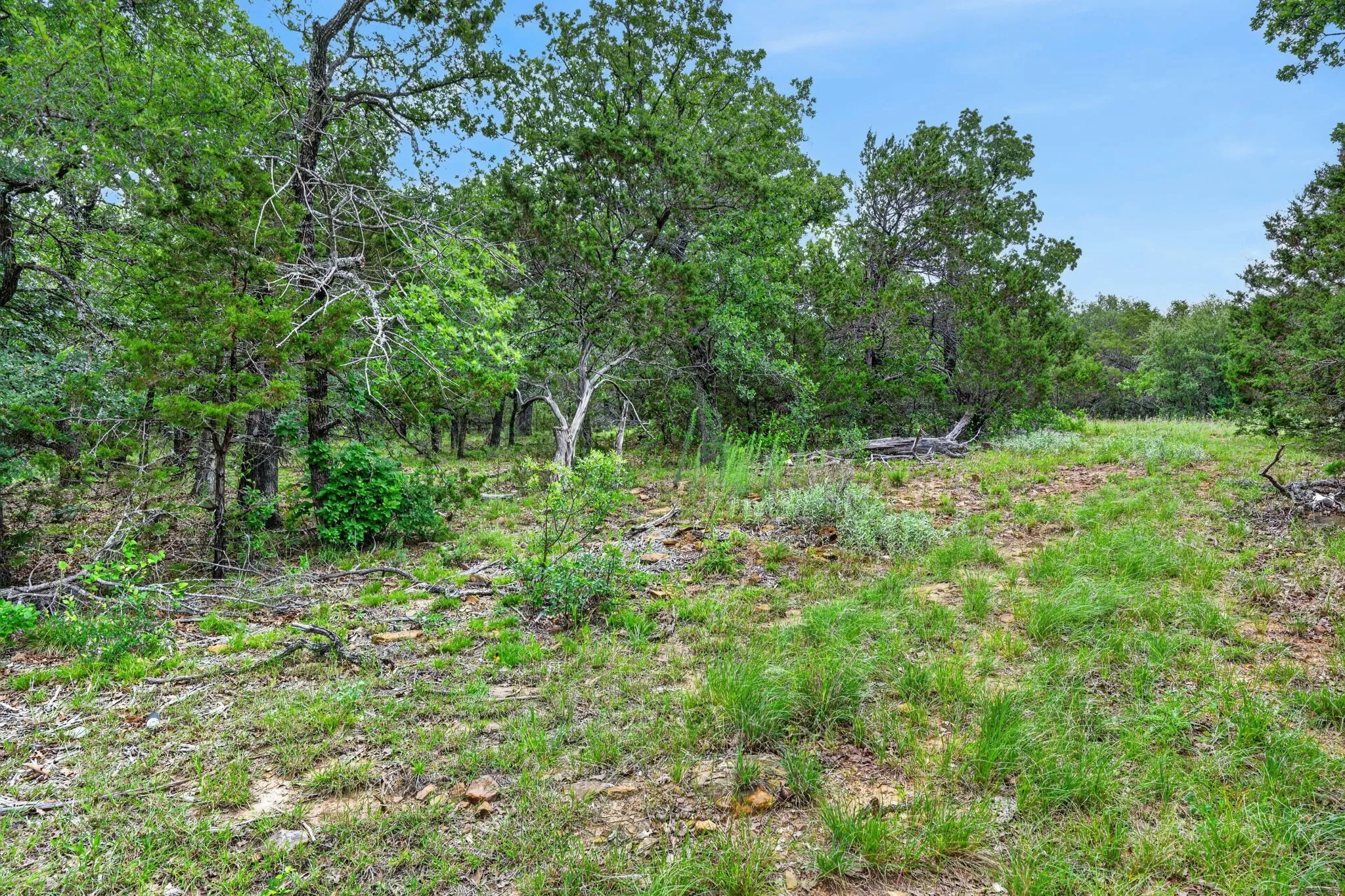 Single Family Residence For Sale in Palo Pinto County , 1066 High Point Drive, Mineral Wells, Texas 76067, 2 Bedroom, 1 Bathroom, Garage spaces, 624 Sqft, built in 2023, mls#21319802, Real Estate Agent in Mineral Wells, Homes For Sale in Palo Pinto county, Homes For Sale in Mineral Wells, Realtor in Mineral Wells Texas, Real Estate Brokerage Independent Realty Texas, Luminita Cordes Realtor
