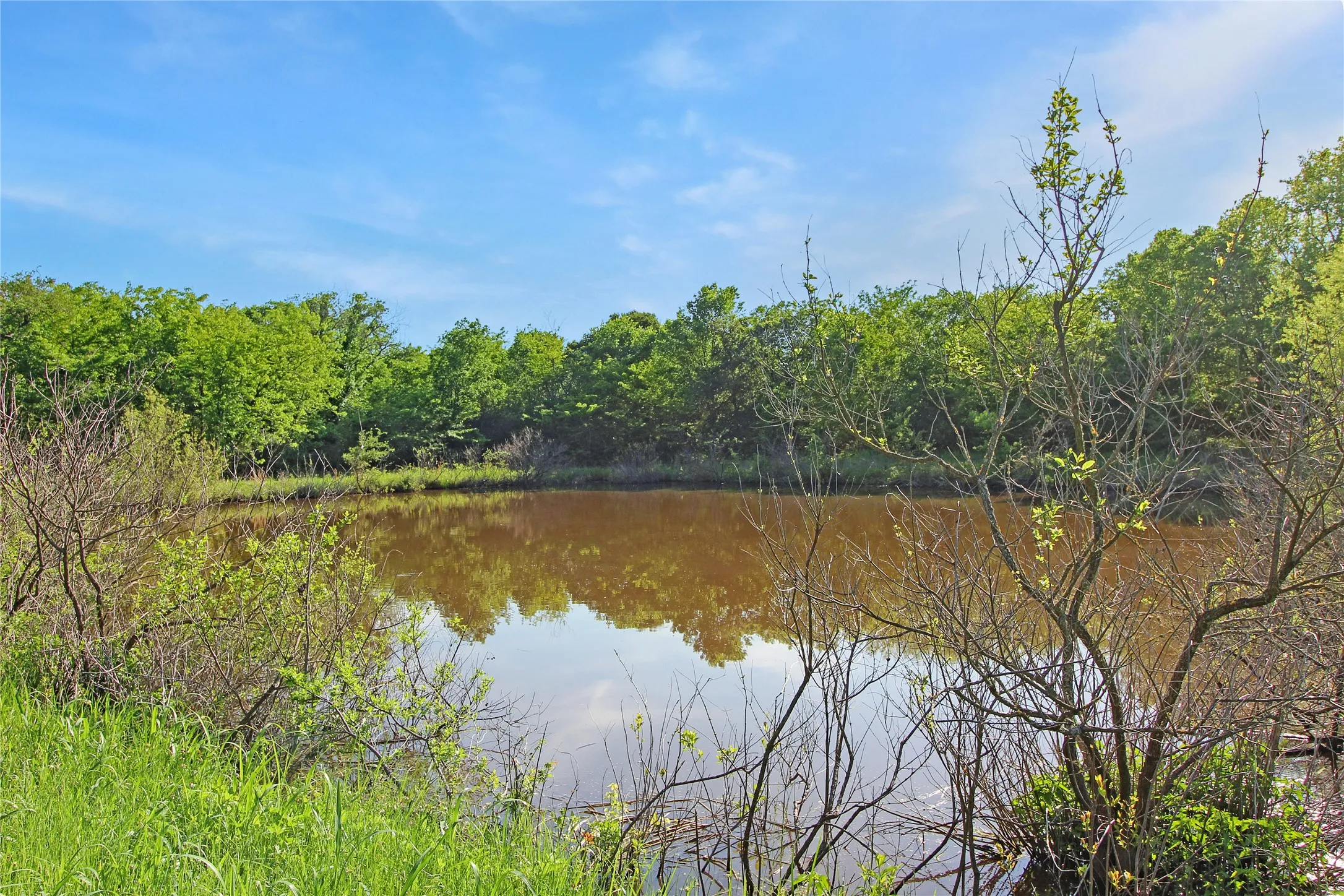 Pond with surrounding lush foliage, vibrant green grass, and mature trees under a clear blue sky