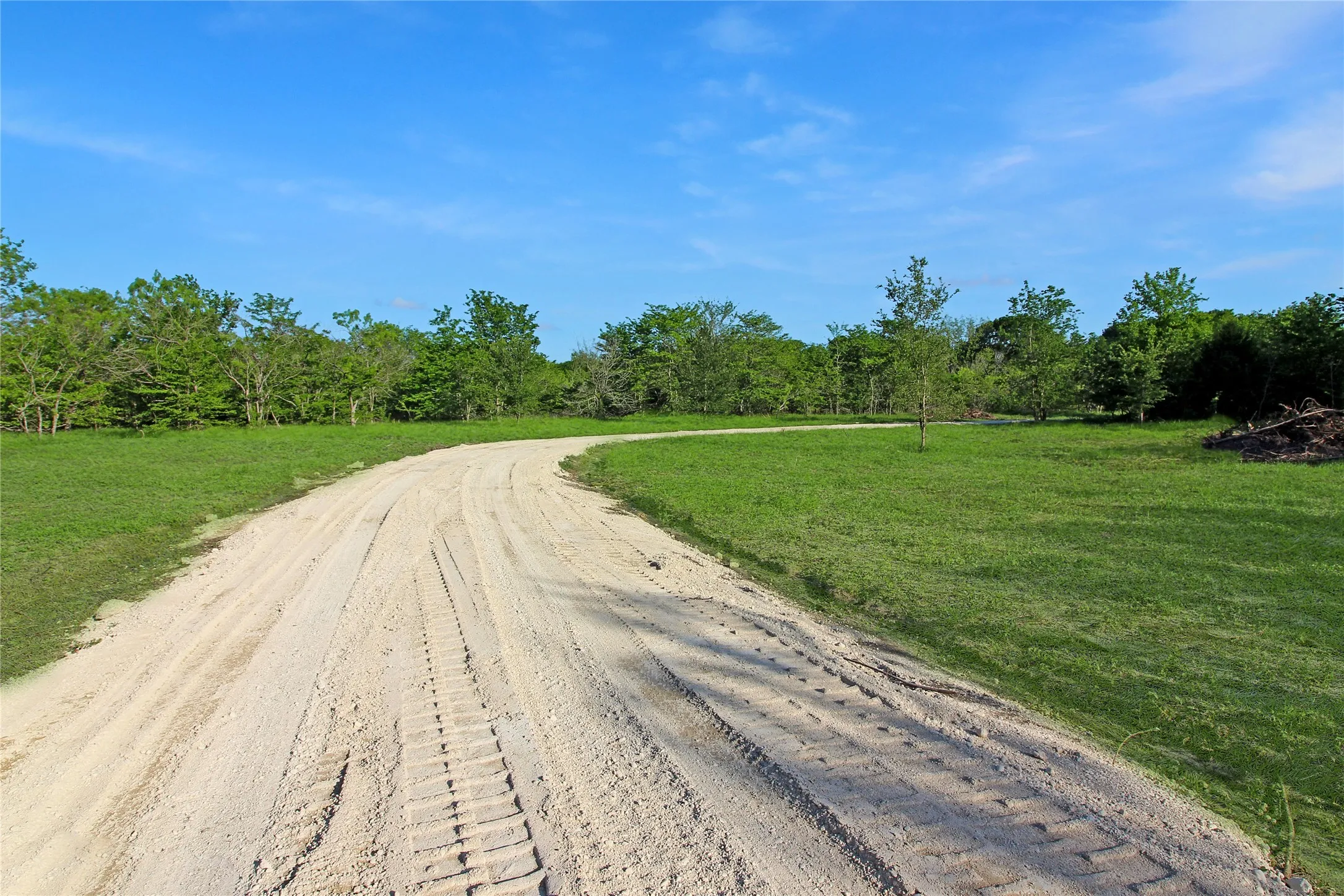 Winding gravel path through a verdant landscape